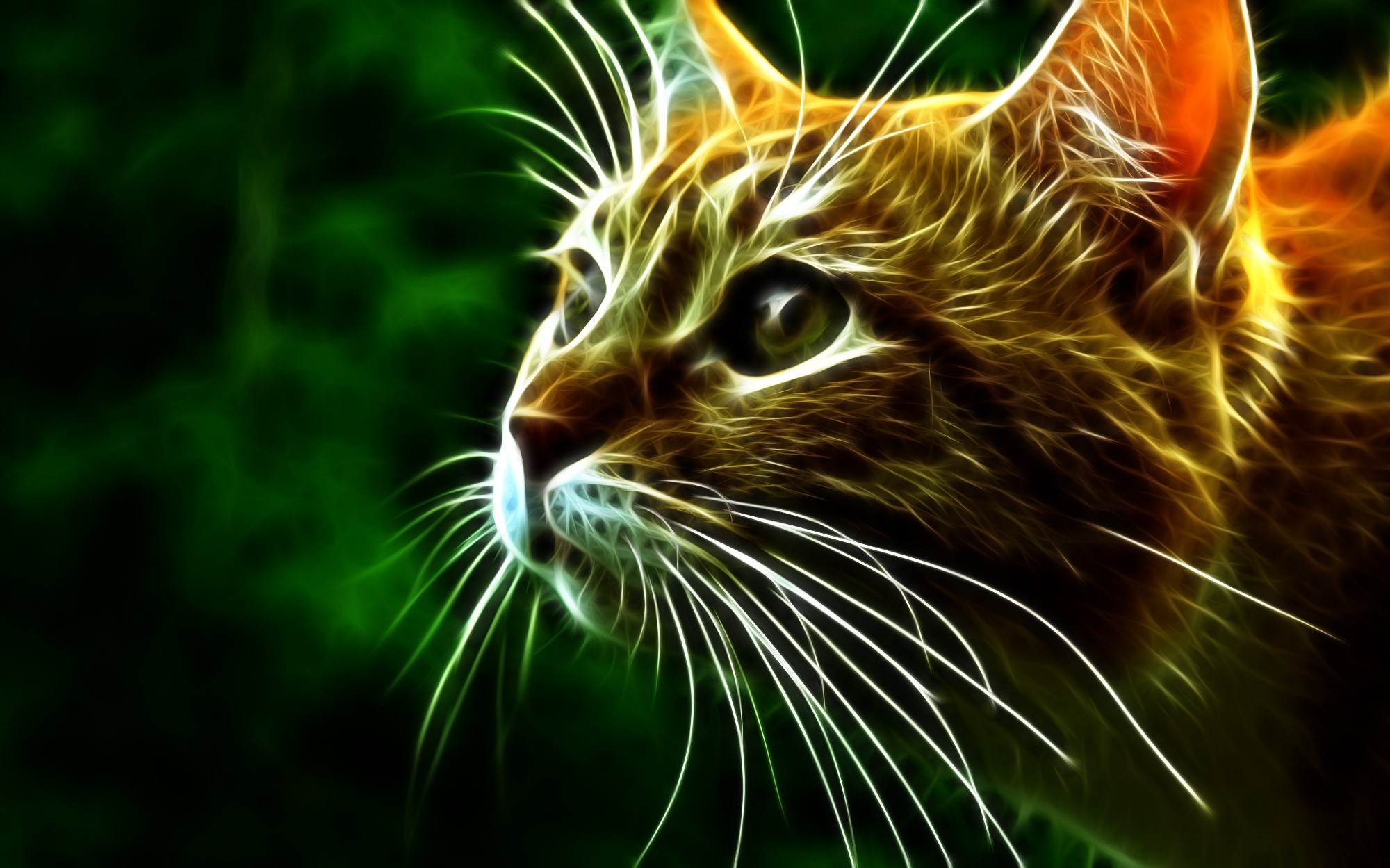 Fractal Cat Portrait with Green Background HD Wallpaper