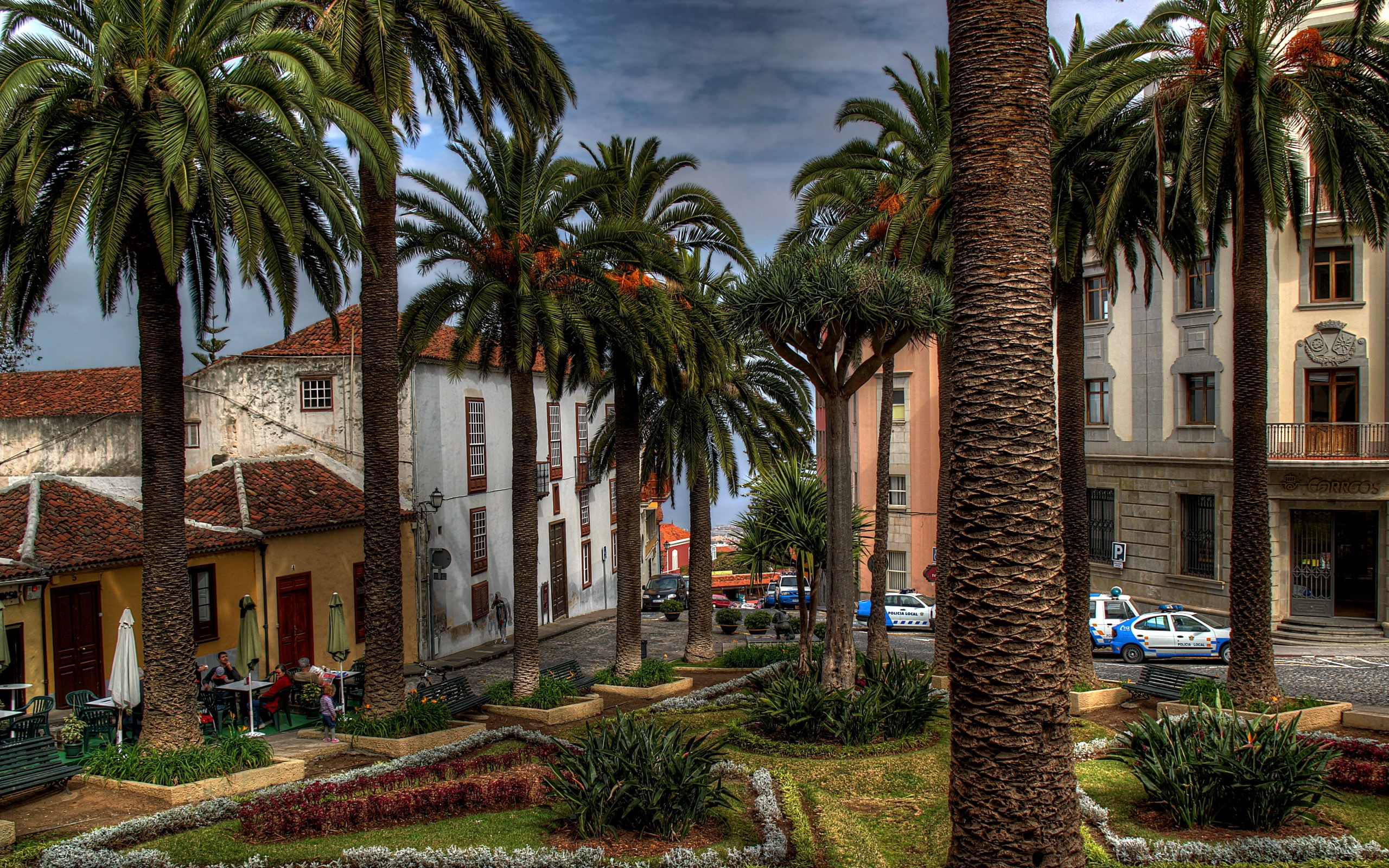 Street with palm trees and buildings in Spain HD Wallpaper