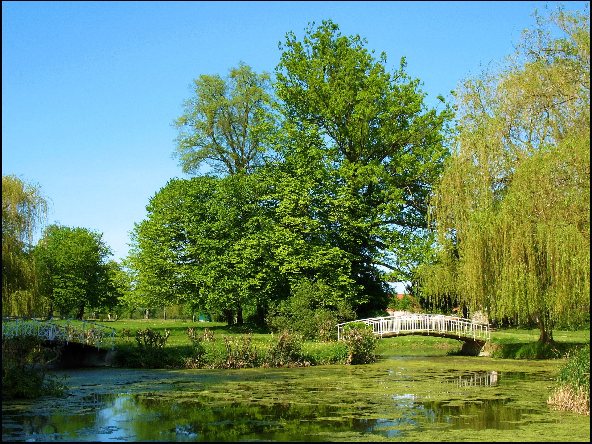 Park with pond and bridges HD Wallpaper