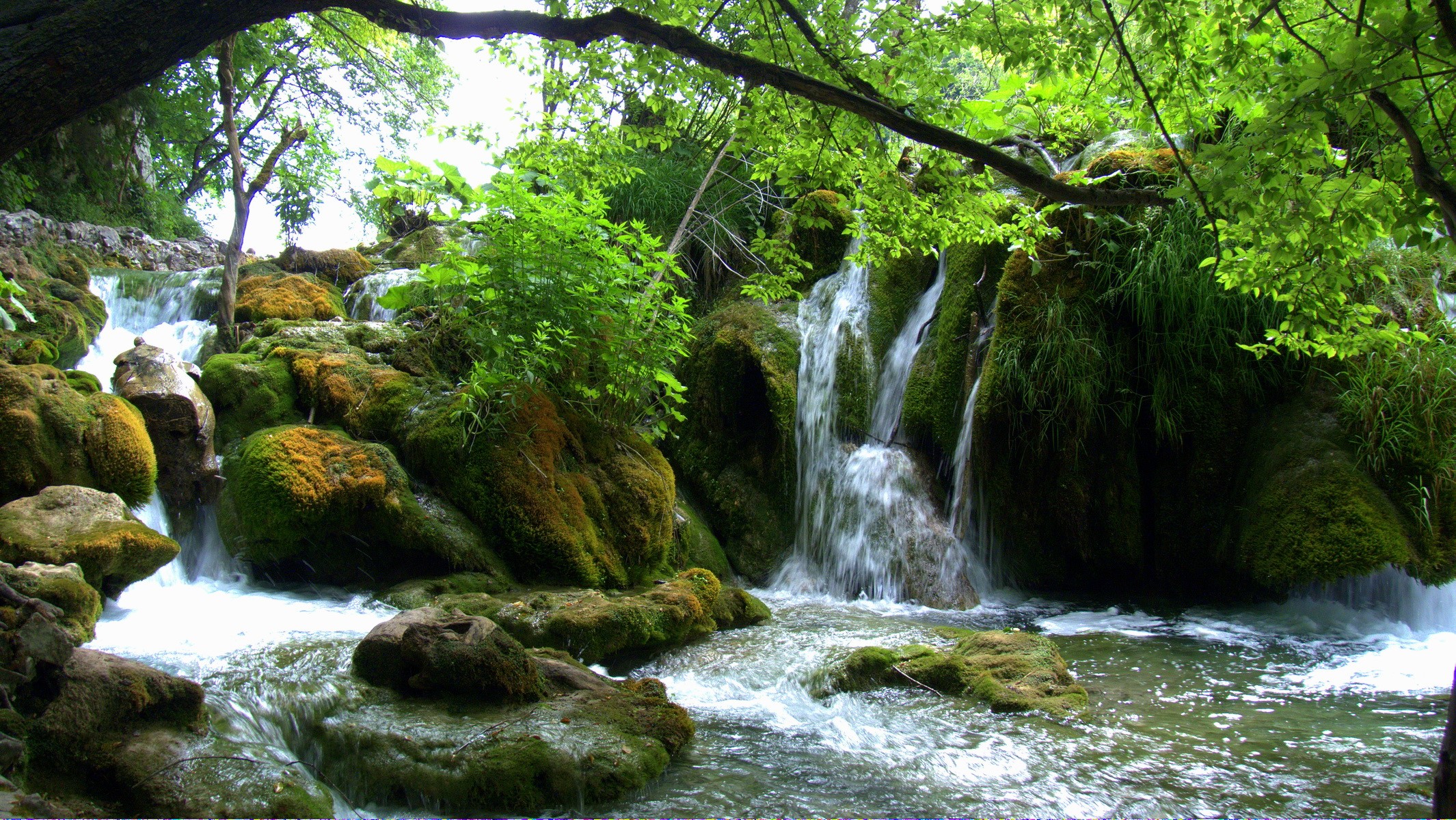 Waterfalls cascading over moss-covered rocks in a forest HD Wallpaper