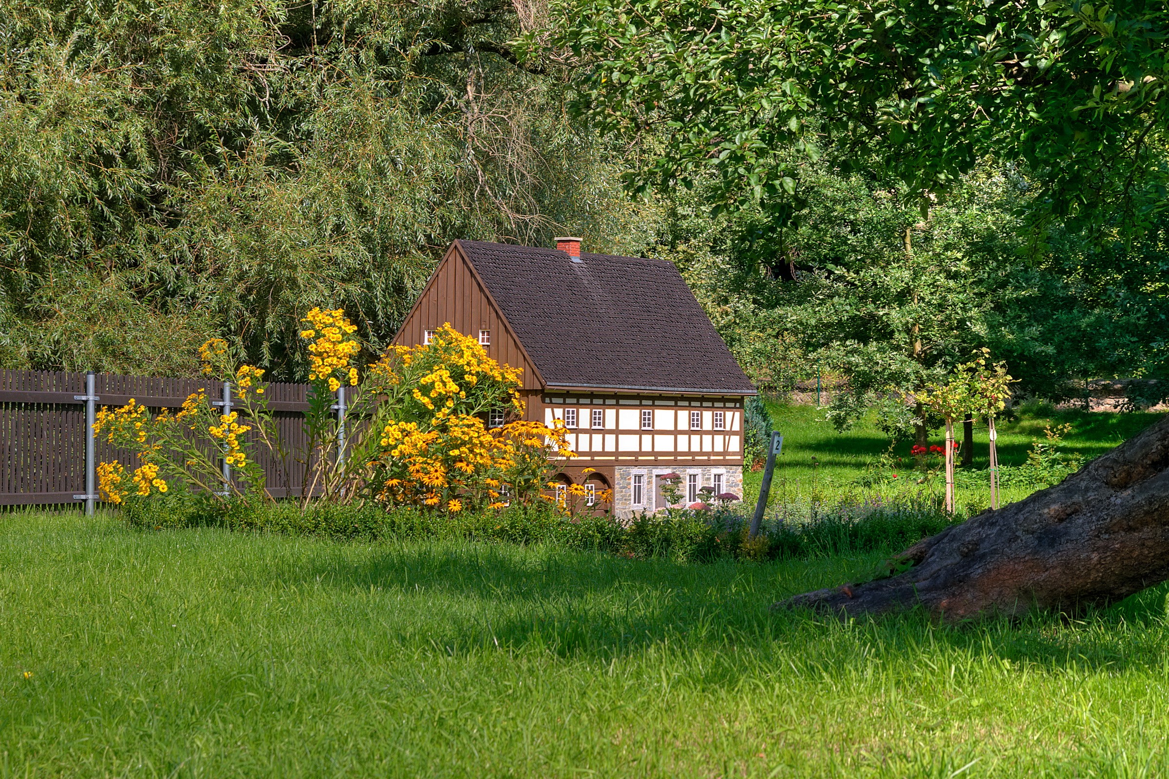 Miniature half-timbered house with yellow flowers HD Wallpaper