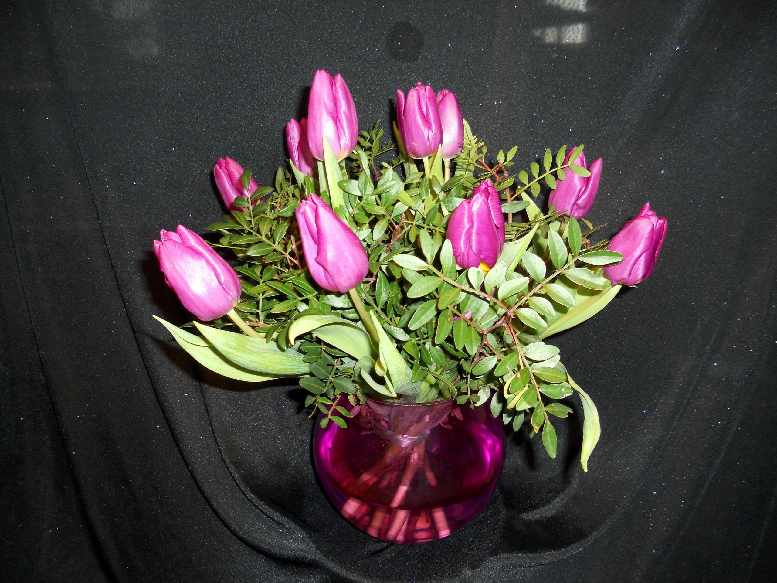 Pink Tulips in a Purple Vase HD Wallpaper