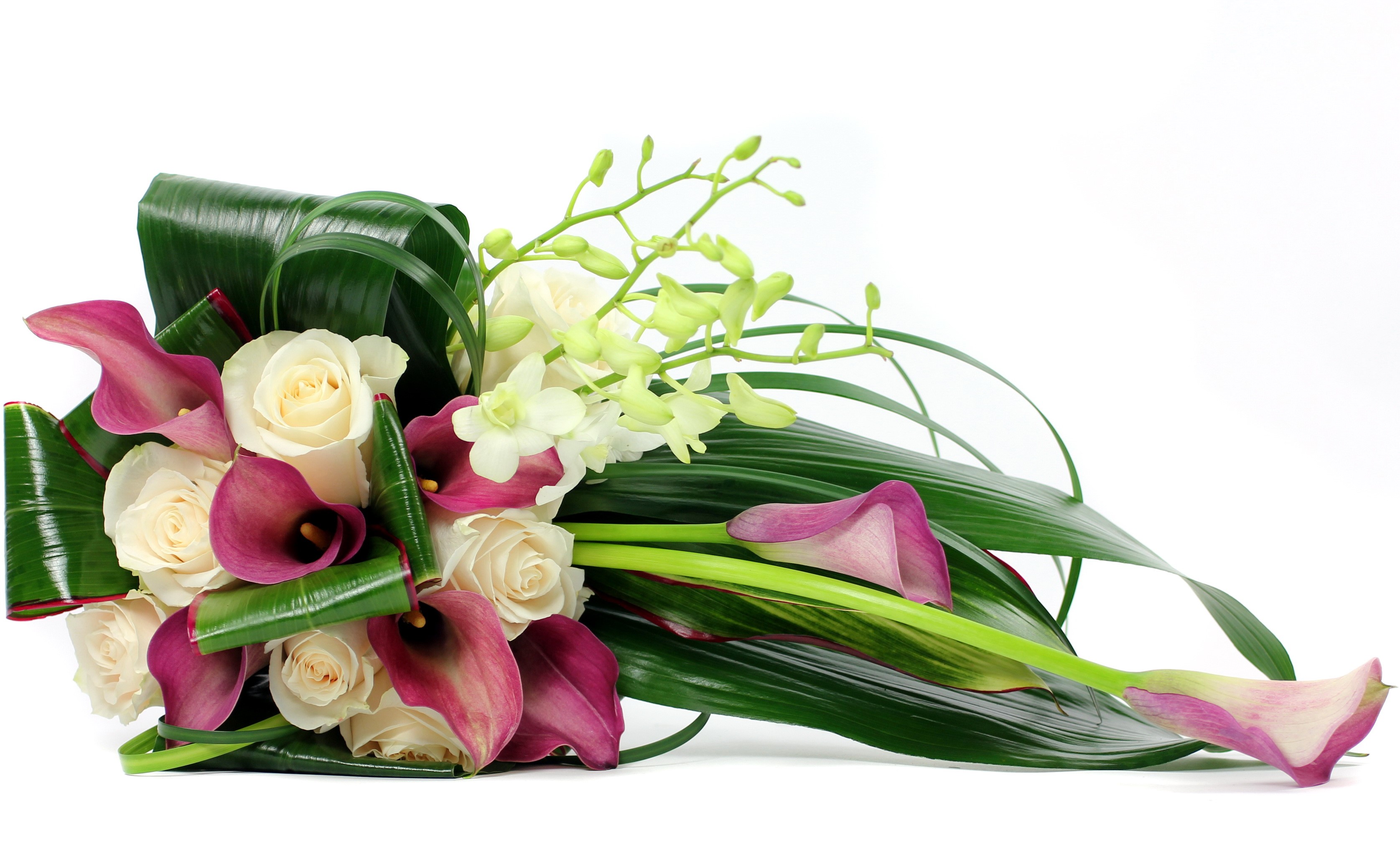 White roses and purple calla lilies bouquet HD Wallpaper