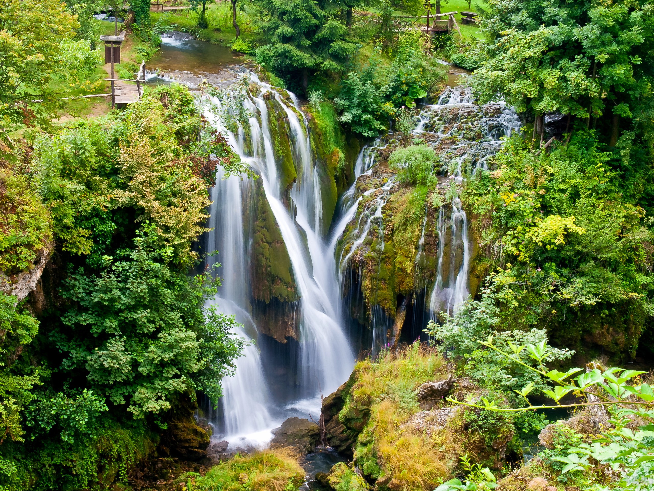 Waterfalls cascading through a lush green forest HD Wallpaper