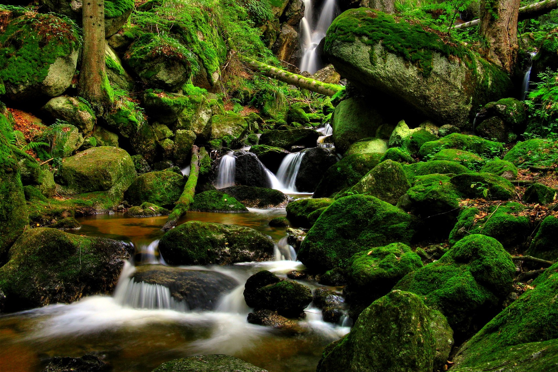 Mossy rocks and waterfalls in a forest stream HD Wallpaper