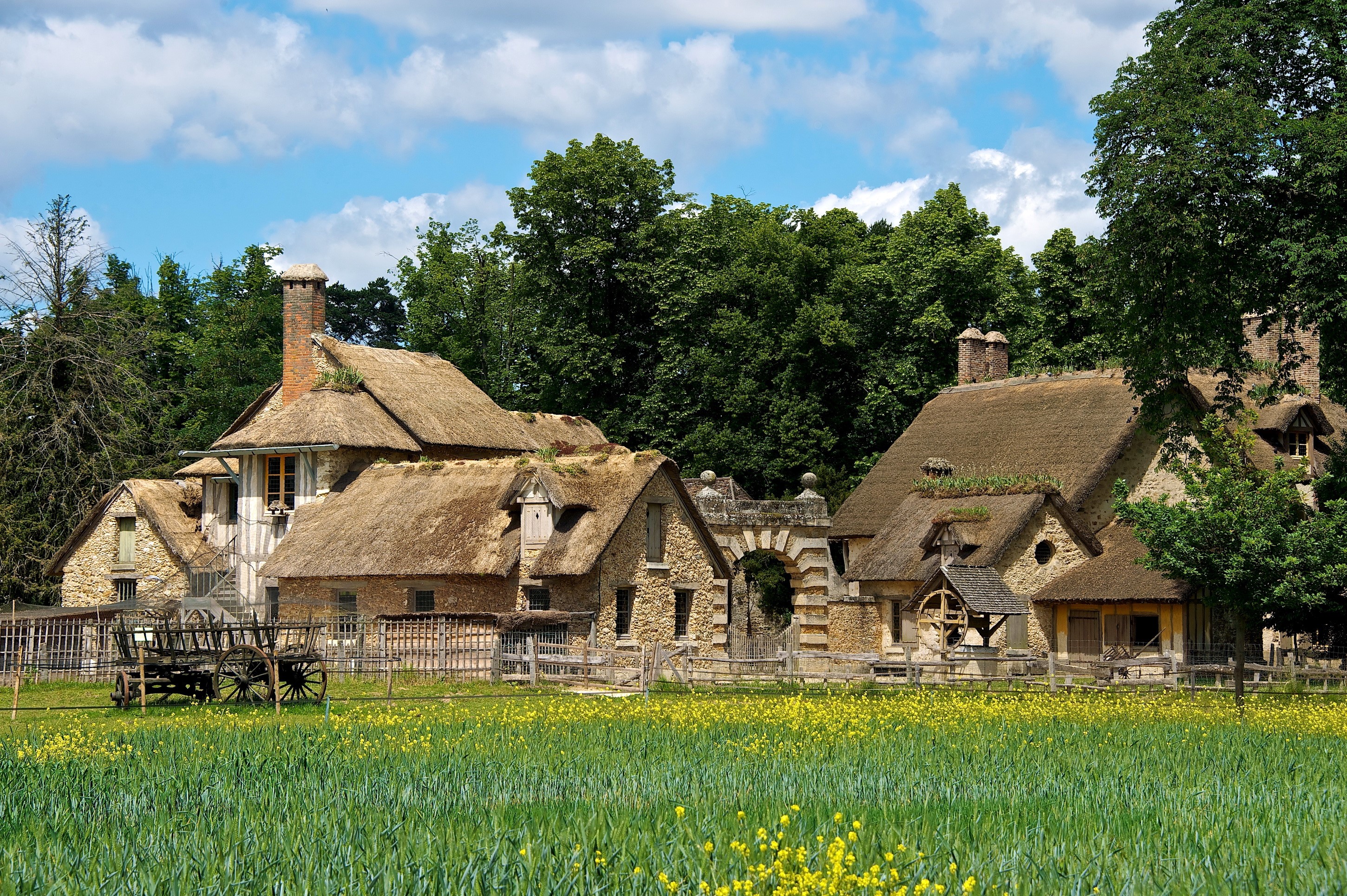 Thatched-roof houses in a field in France HD Wallpaper