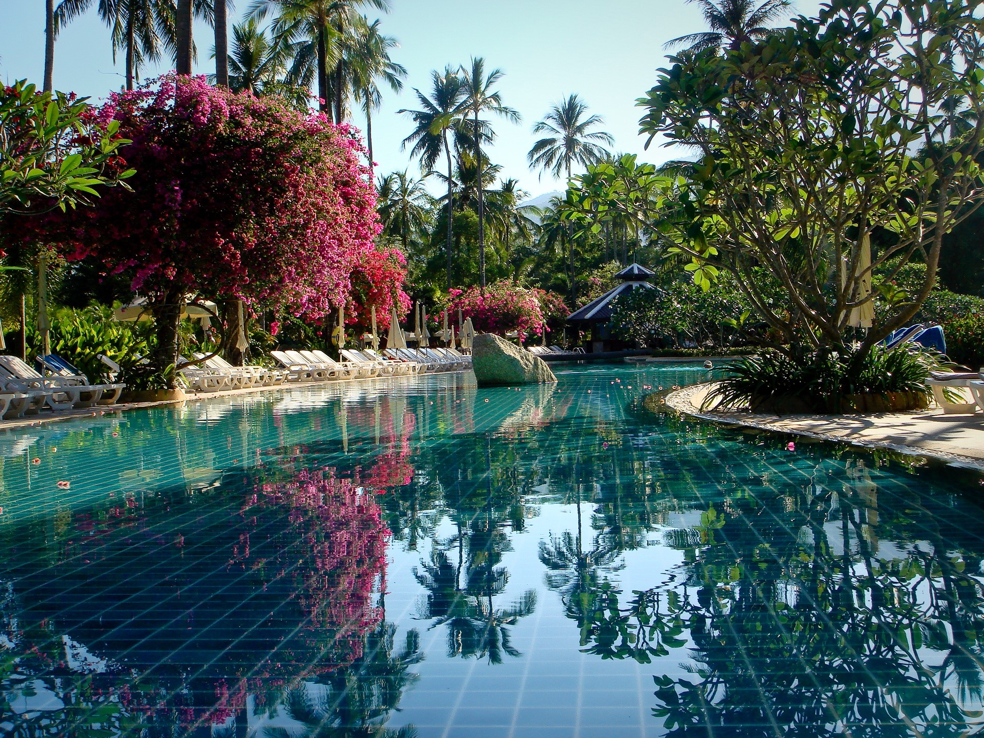 Resort swimming pool with palm trees and flowers in Thailand HD Wallpaper