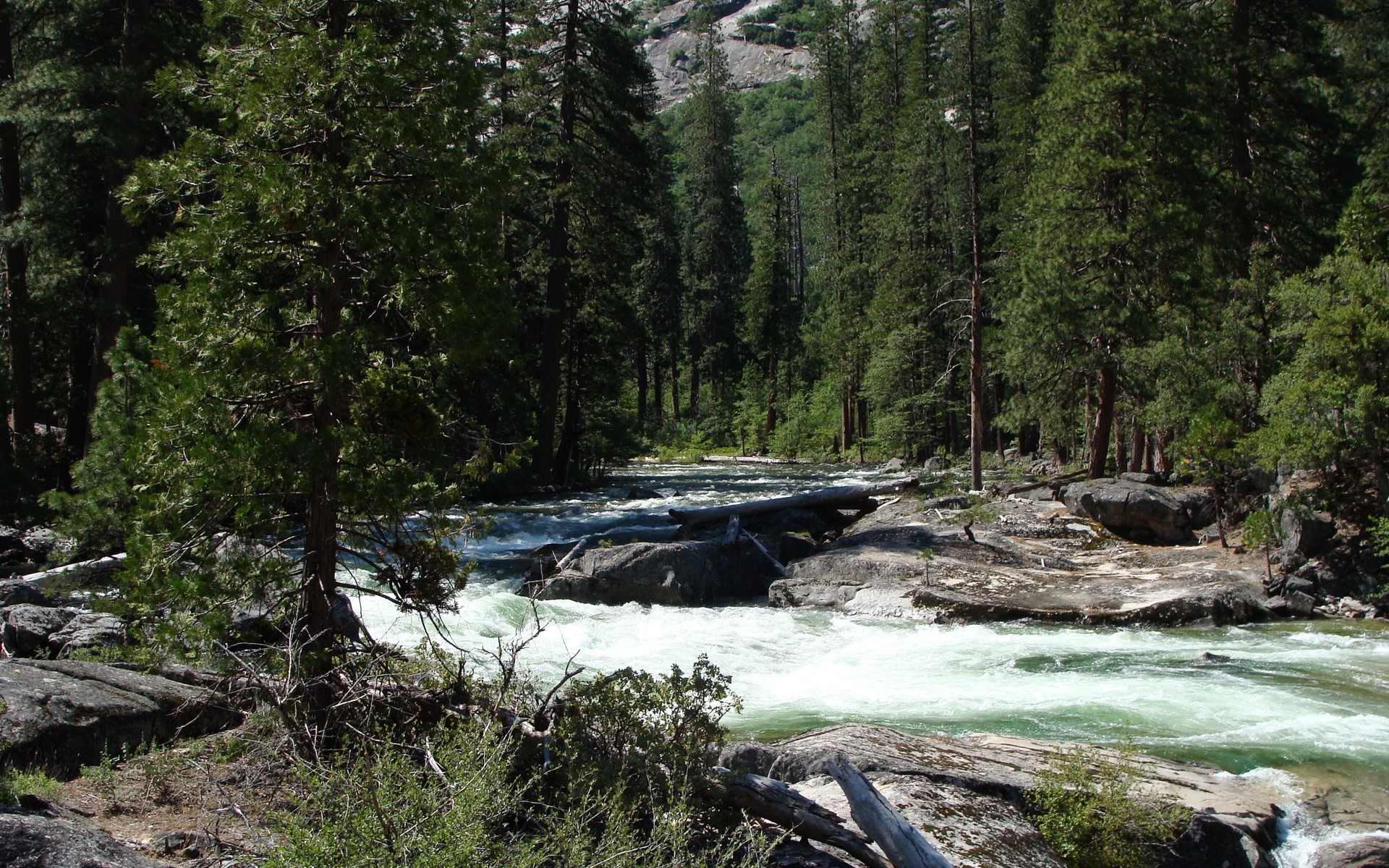 River flowing through a forest with rocky banks HD Wallpaper