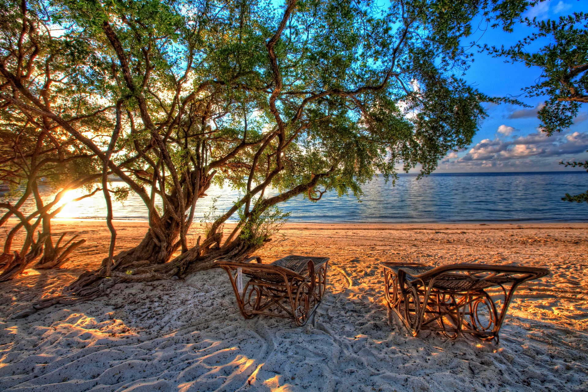 Beach chairs under a tree by the ocean at sunset HD Wallpaper