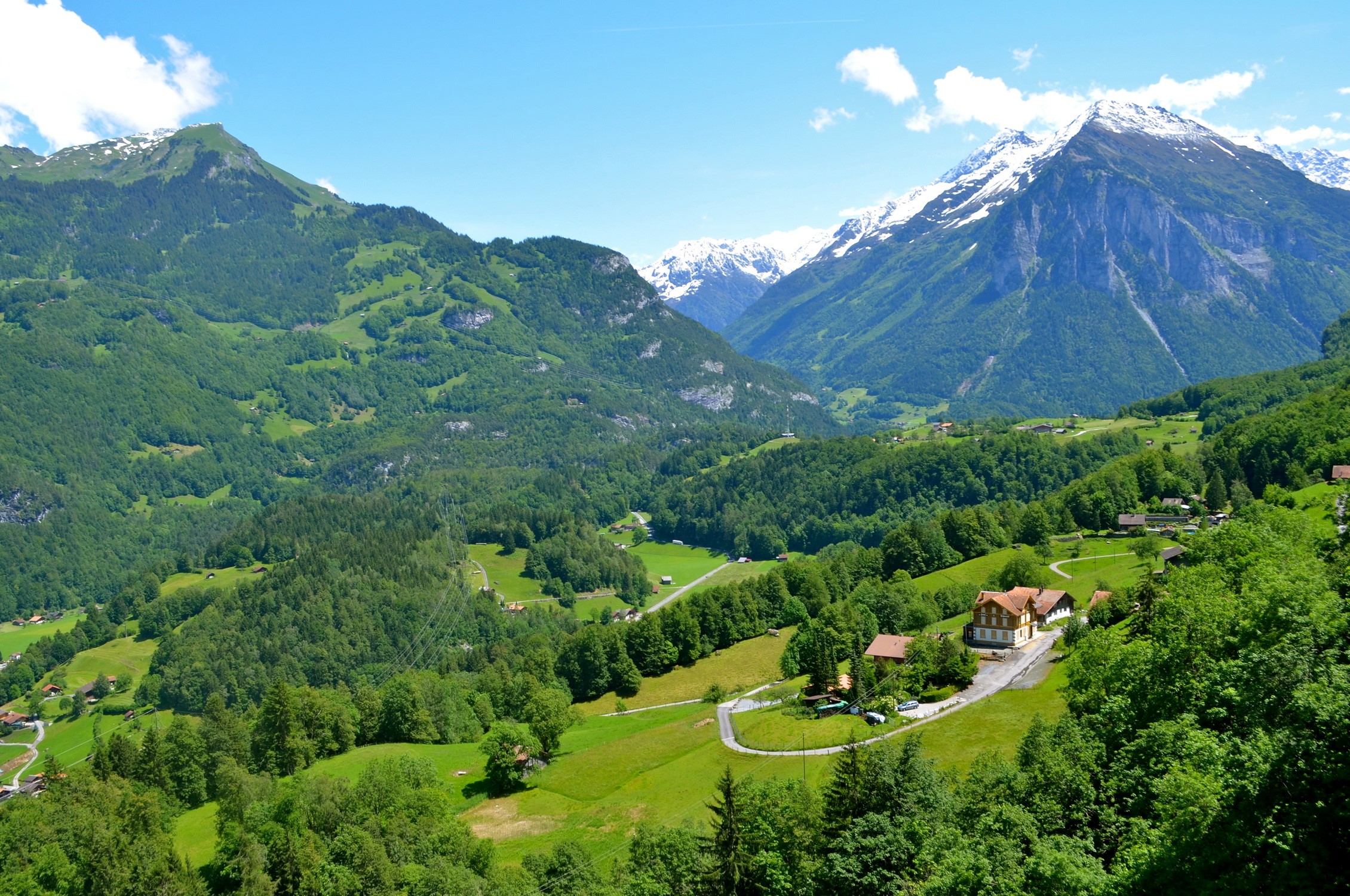 Swiss Alps valley with snow-capped mountains and green forests HD Wallpaper