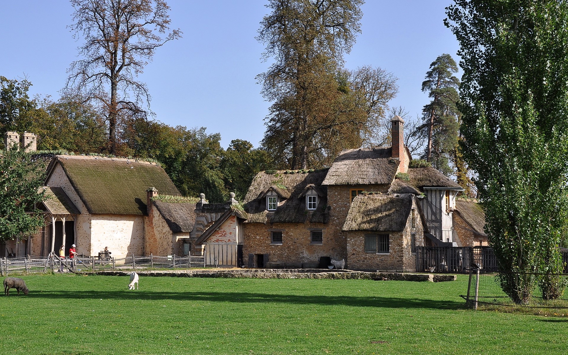 Thatched-roof houses in a rural setting with animals HD Wallpaper