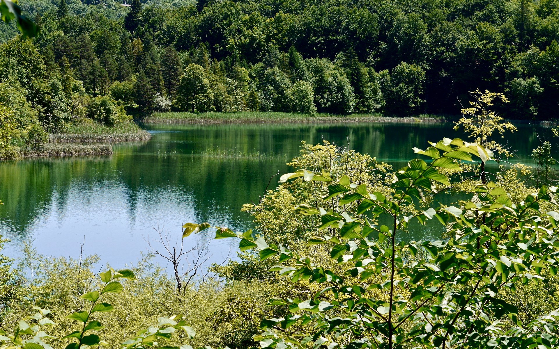 Lake in Croatia surrounded by lush green forest HD Wallpaper