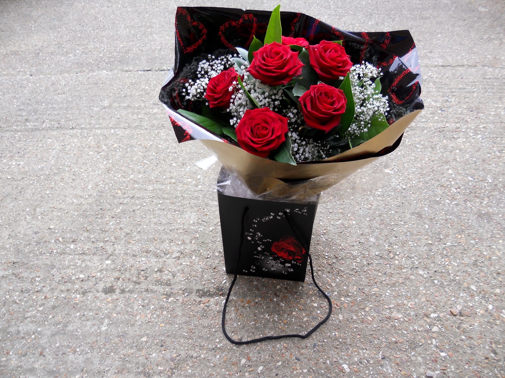 Bouquet of red roses in a black gift bag HD Wallpaper