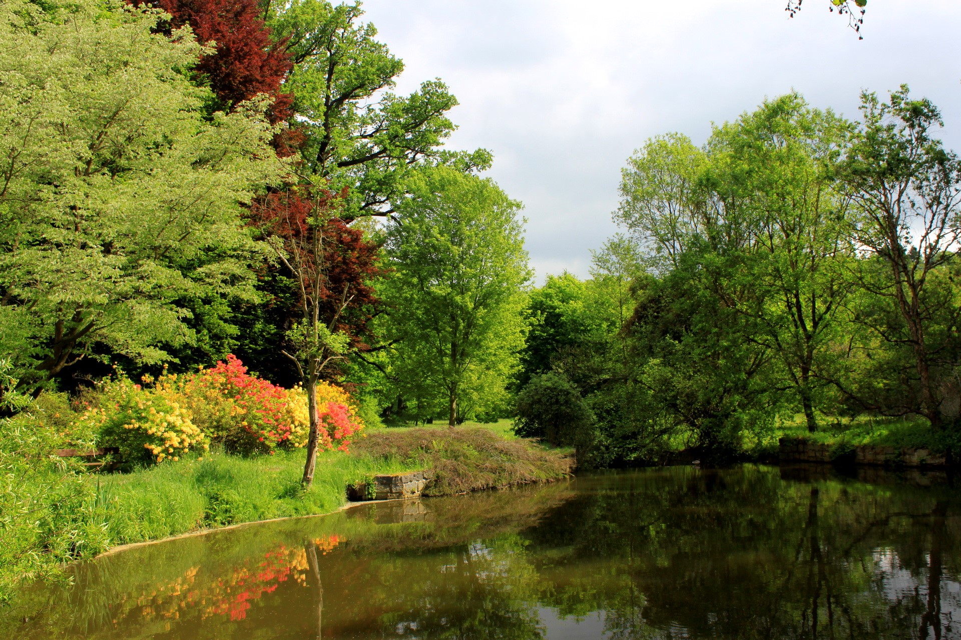 A tranquil pond reflects colorful trees and foliage in a park. HD Wallpaper