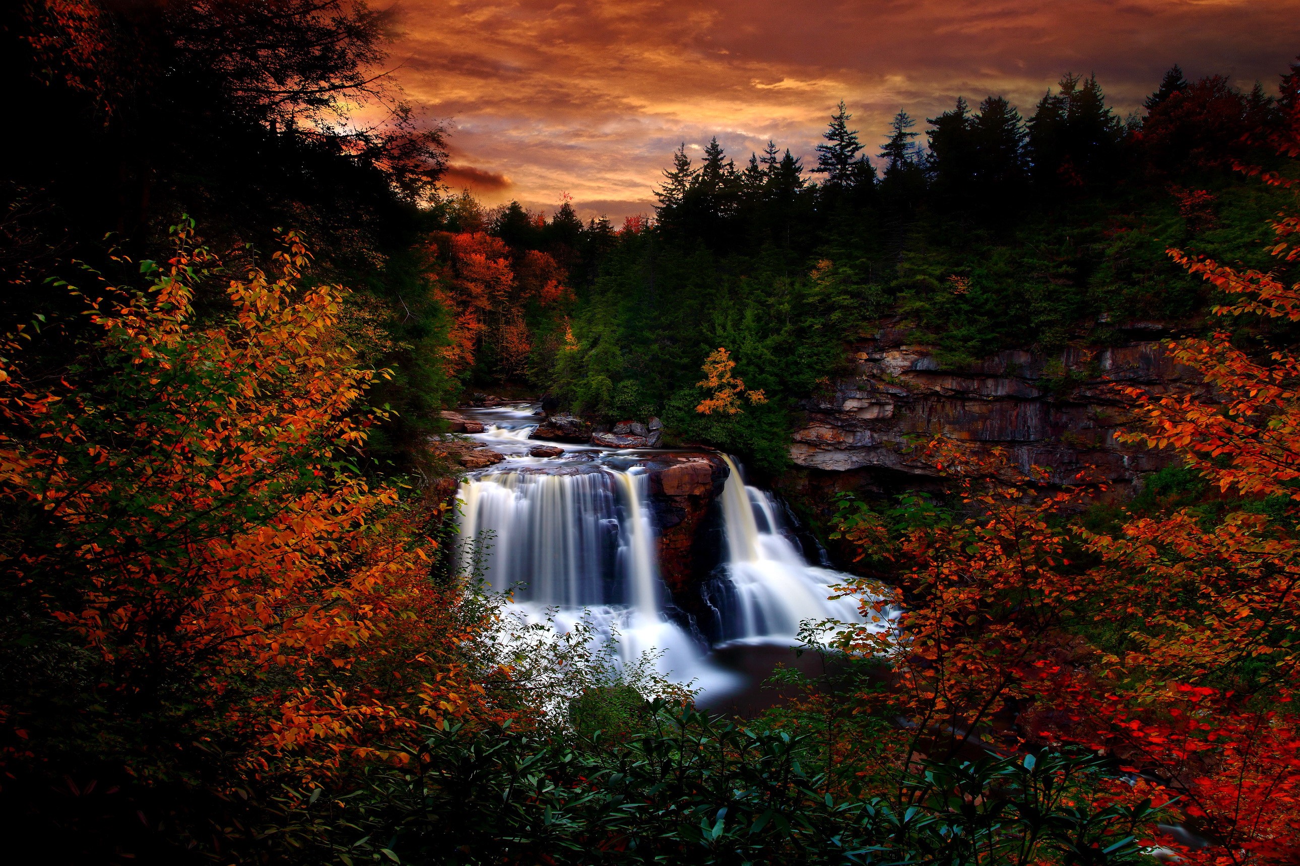 Waterfall in a forest during autumn HD Wallpaper