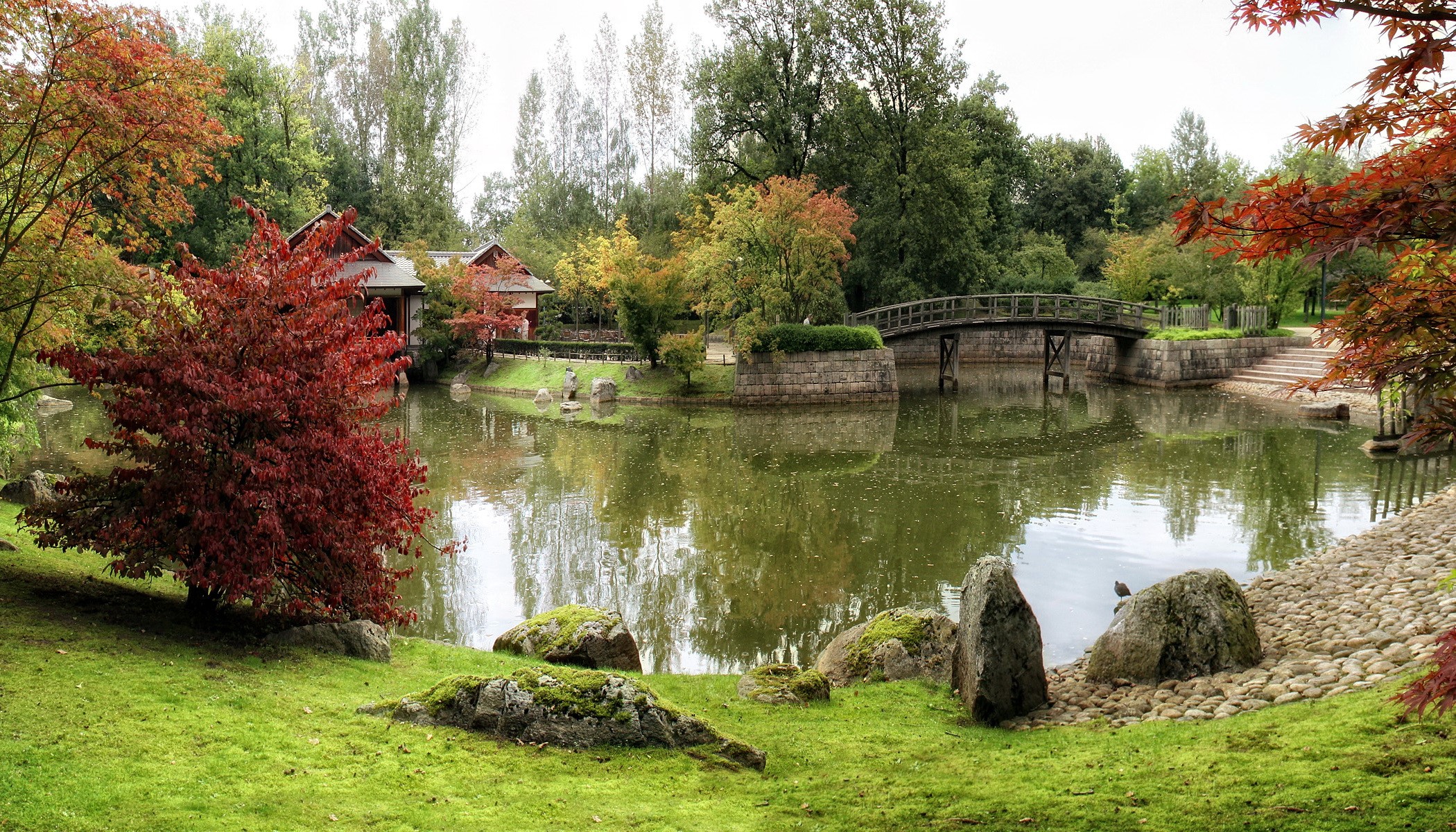 Japanese garden with pond and bridge in autumn HD Wallpaper
