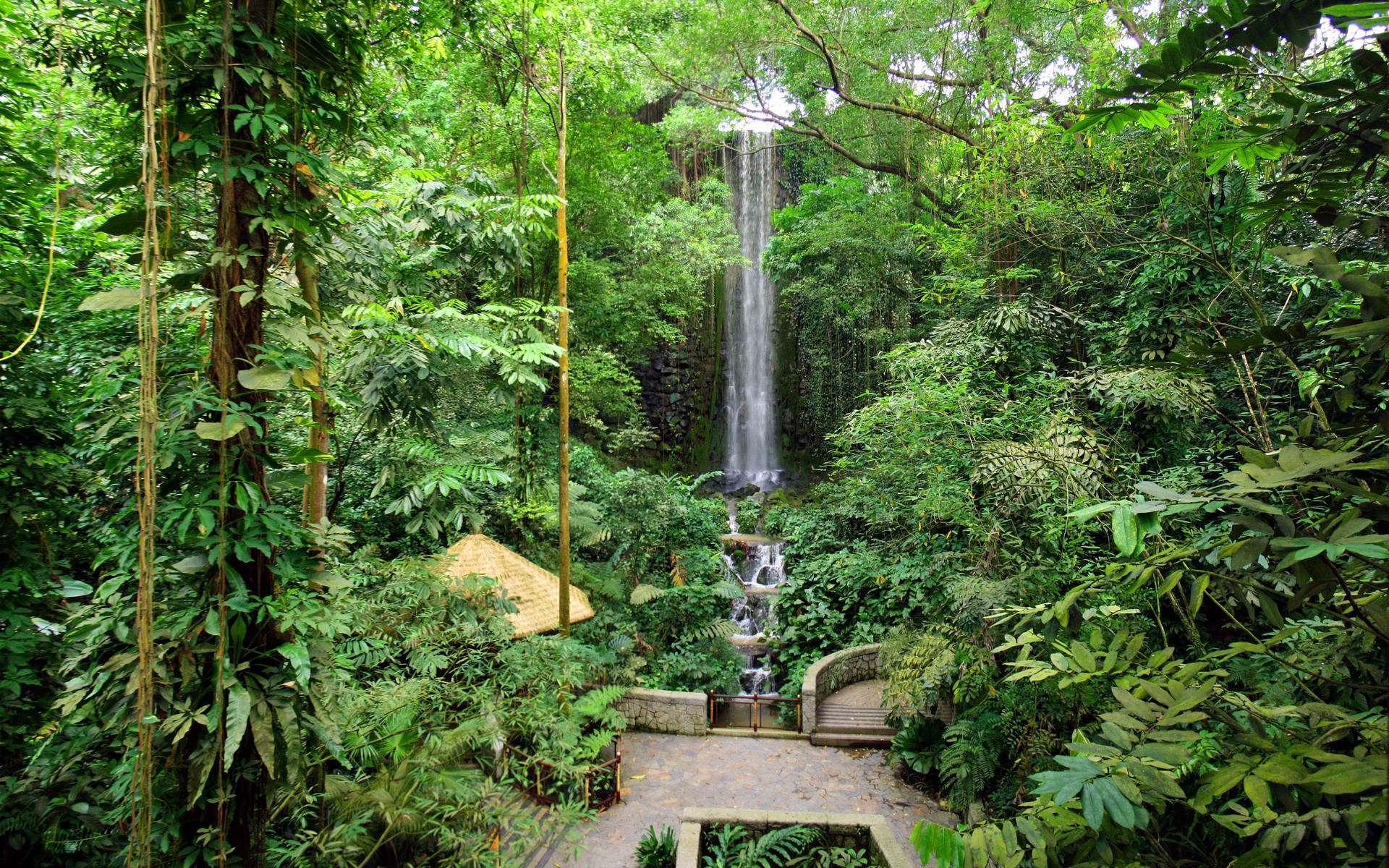 Waterfall in a lush green jungle with a thatched hut HD Wallpaper