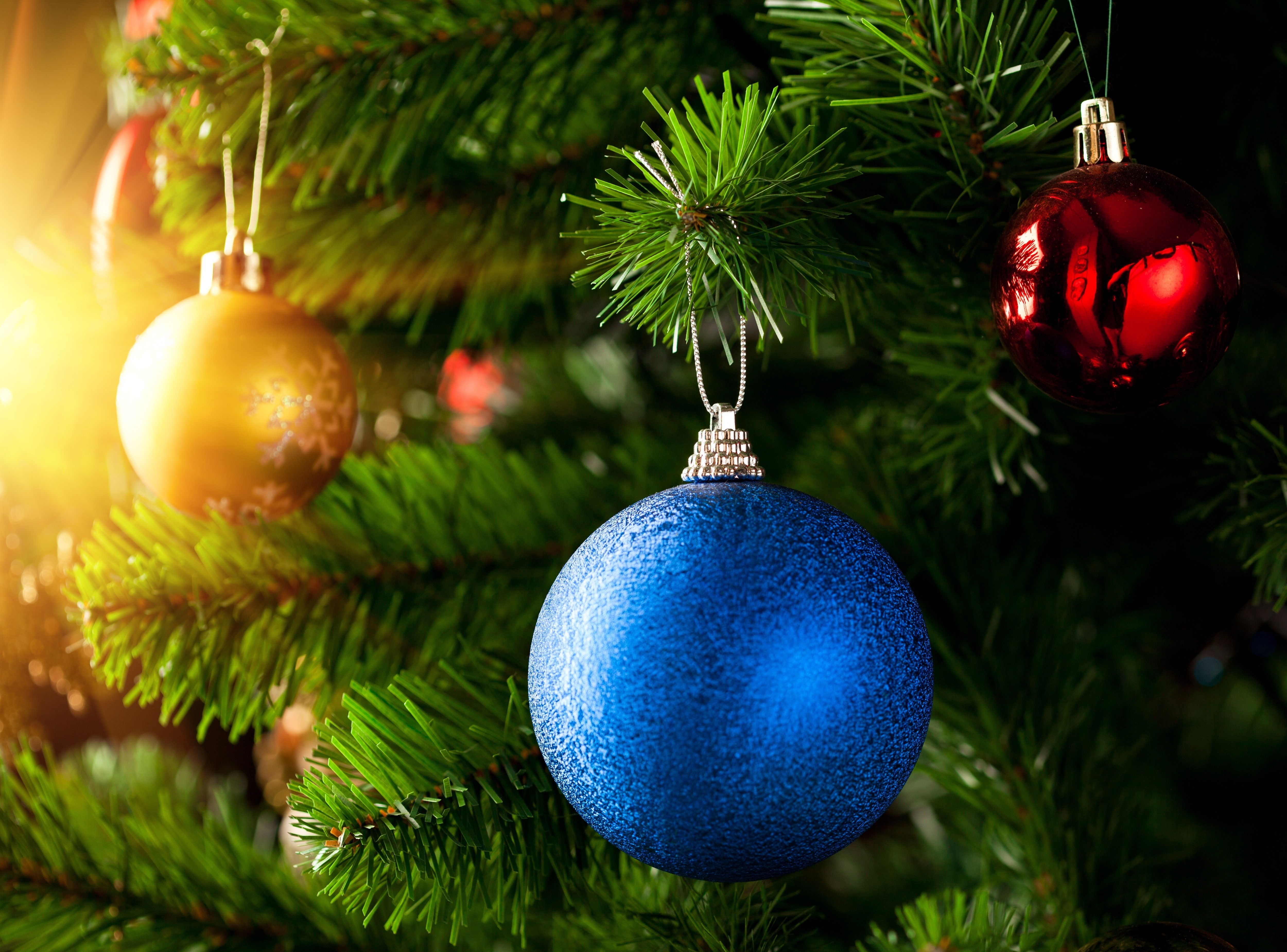 Christmas tree with ornaments HD Wallpaper