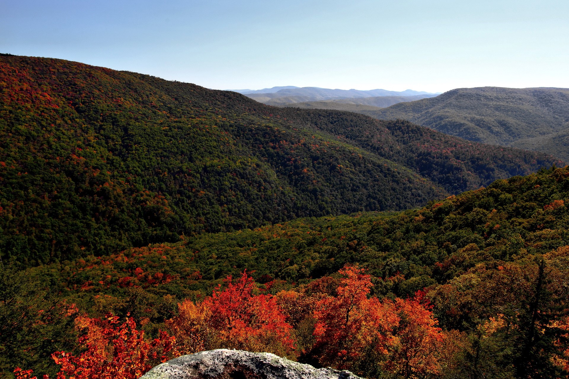 Autumn mountain forest landscape HD Wallpaper