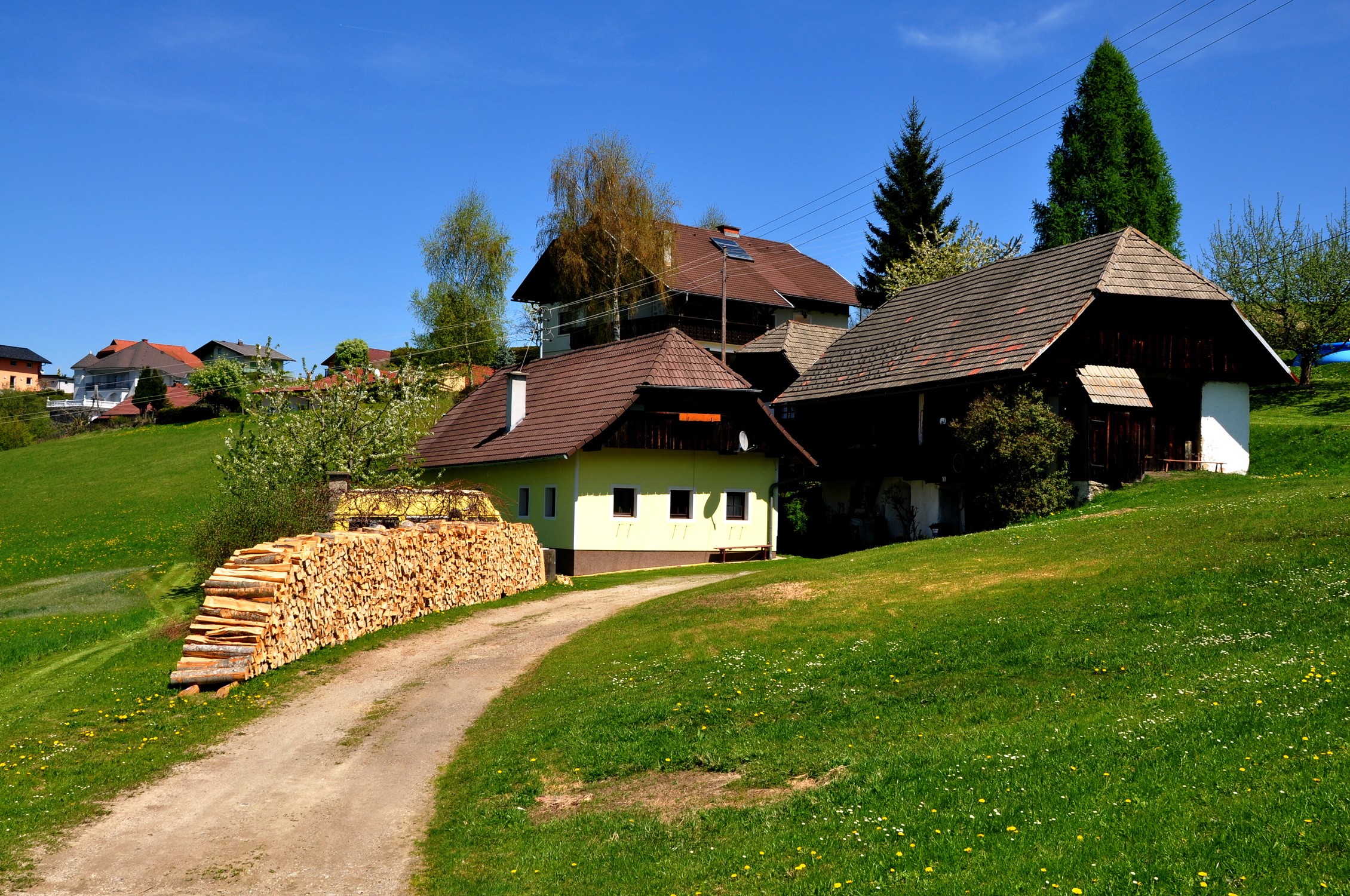 Houses on a grassy hill in Carinthia, Austria HD Wallpaper