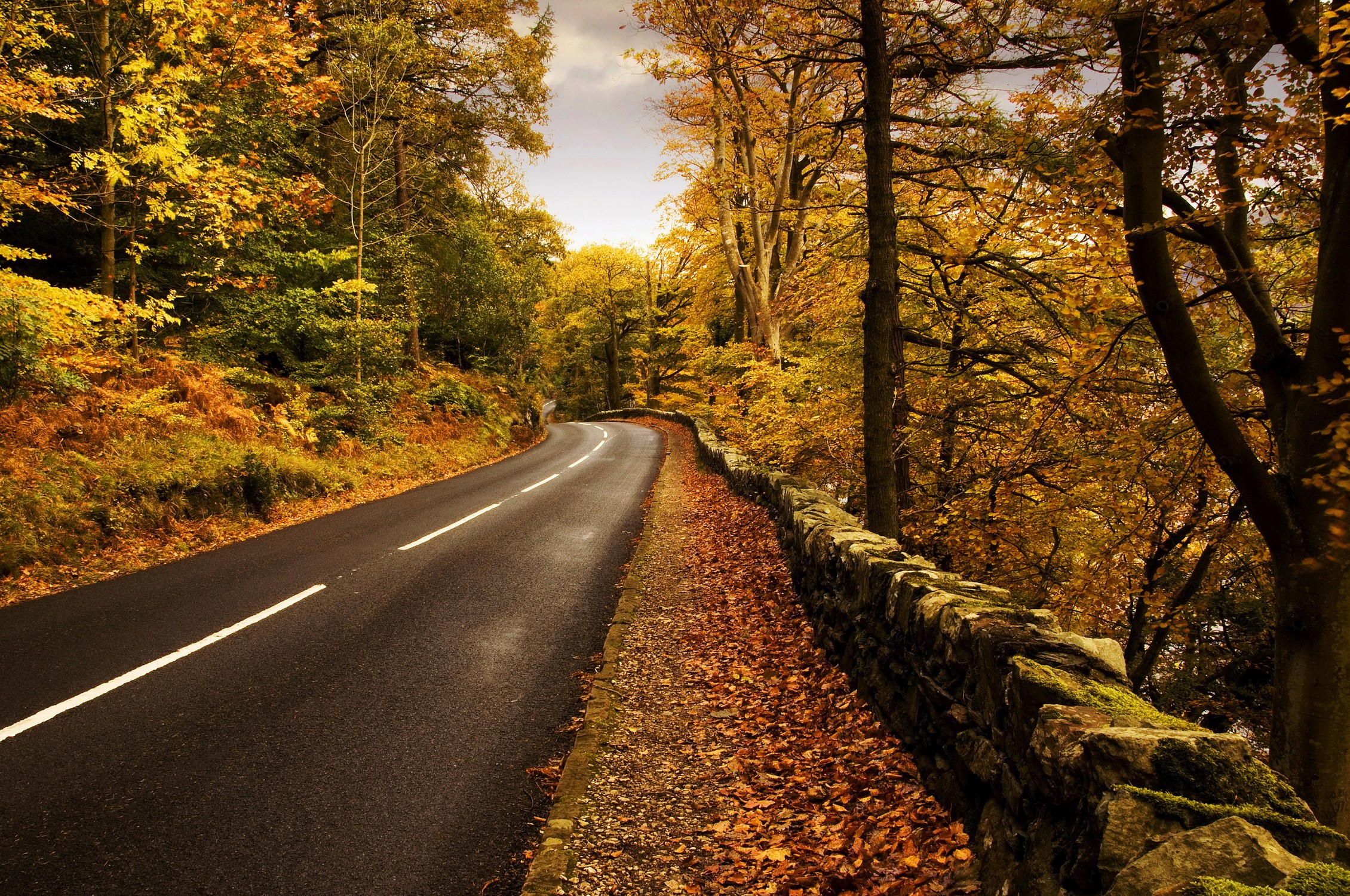 Winding Road Through Autumn Forest with Stone Wall HD Wallpaper