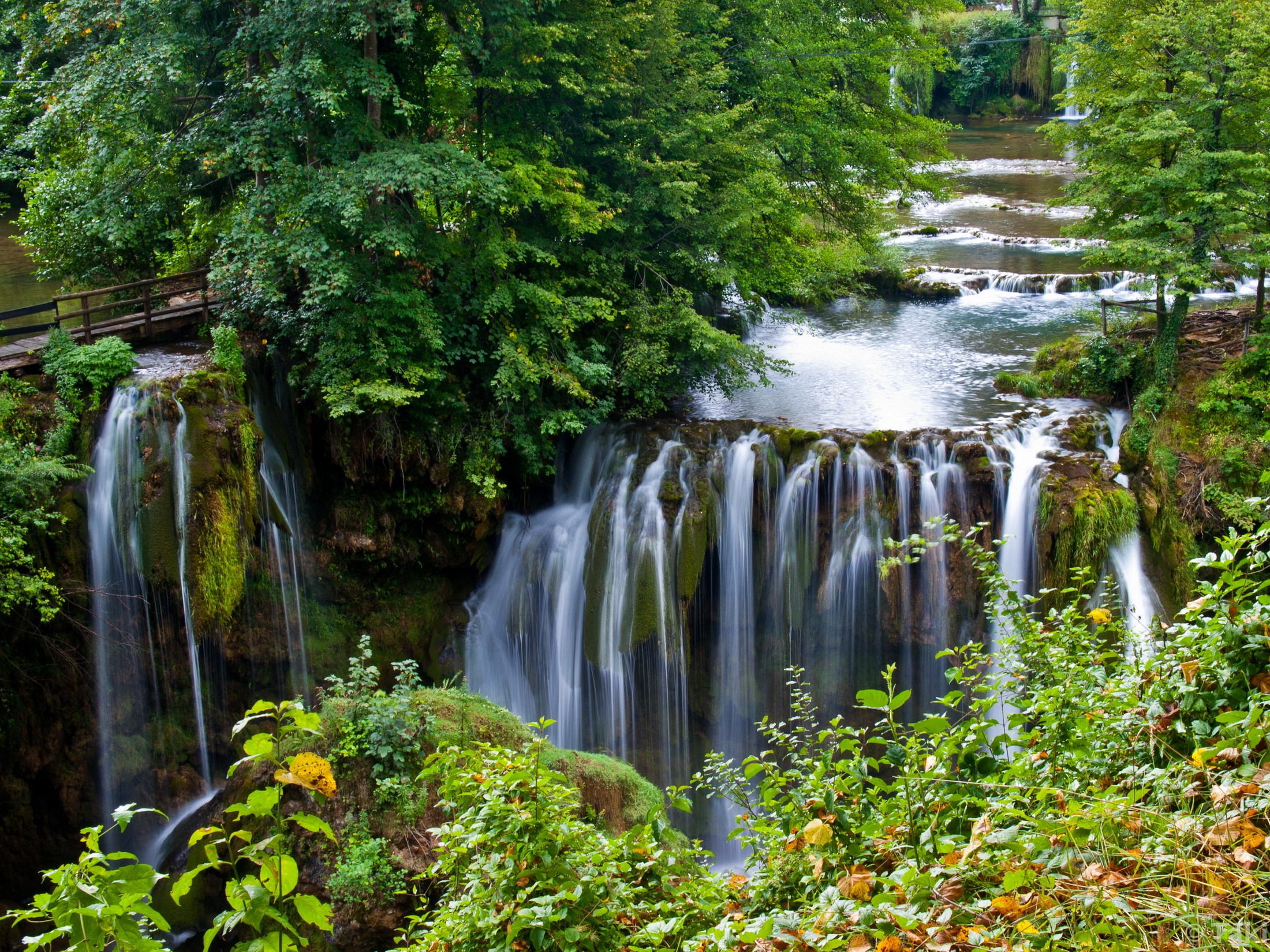 Waterfalls cascading through a lush green forest HD Wallpaper