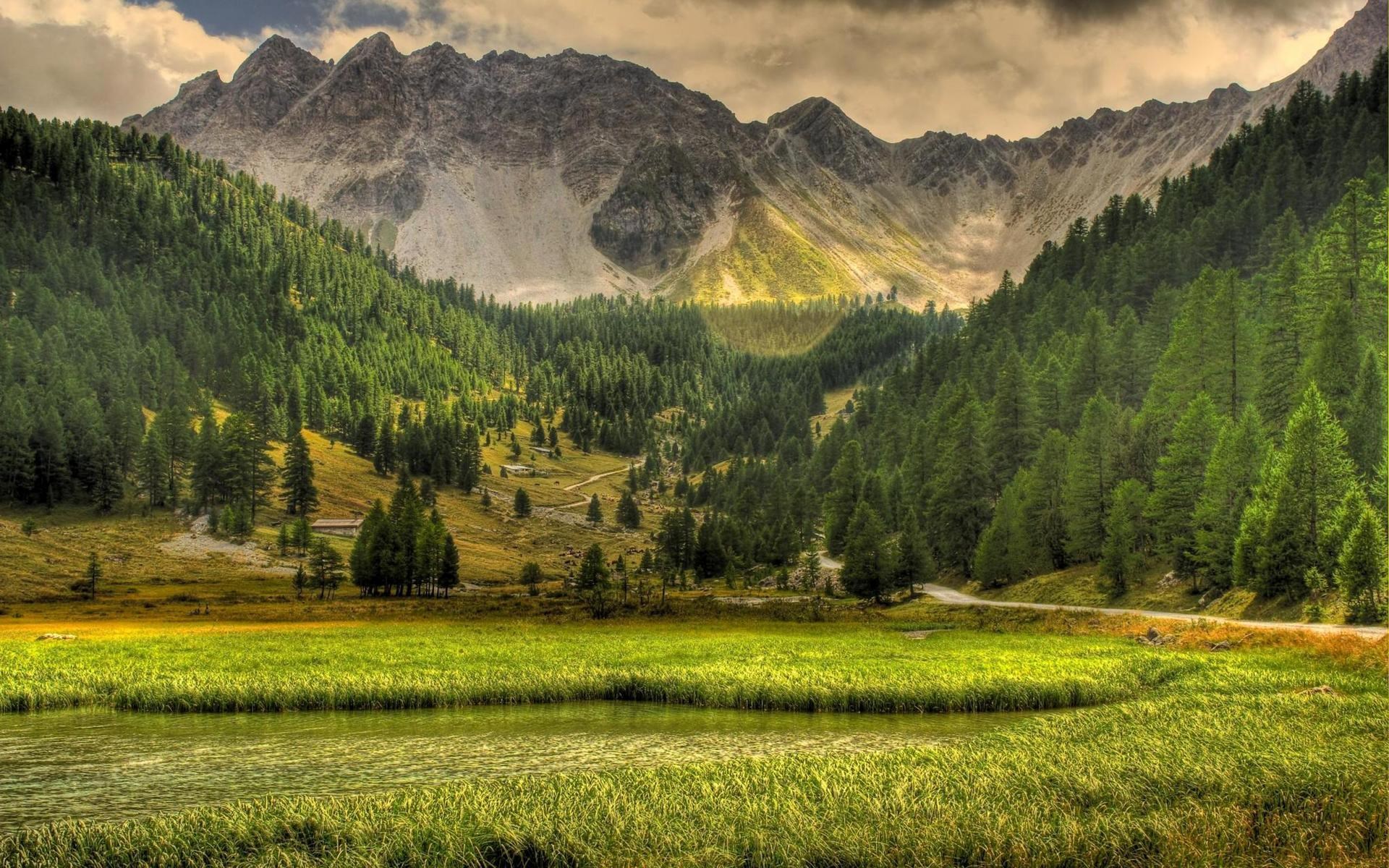 Mountain valley with green forest and river HD Wallpaper