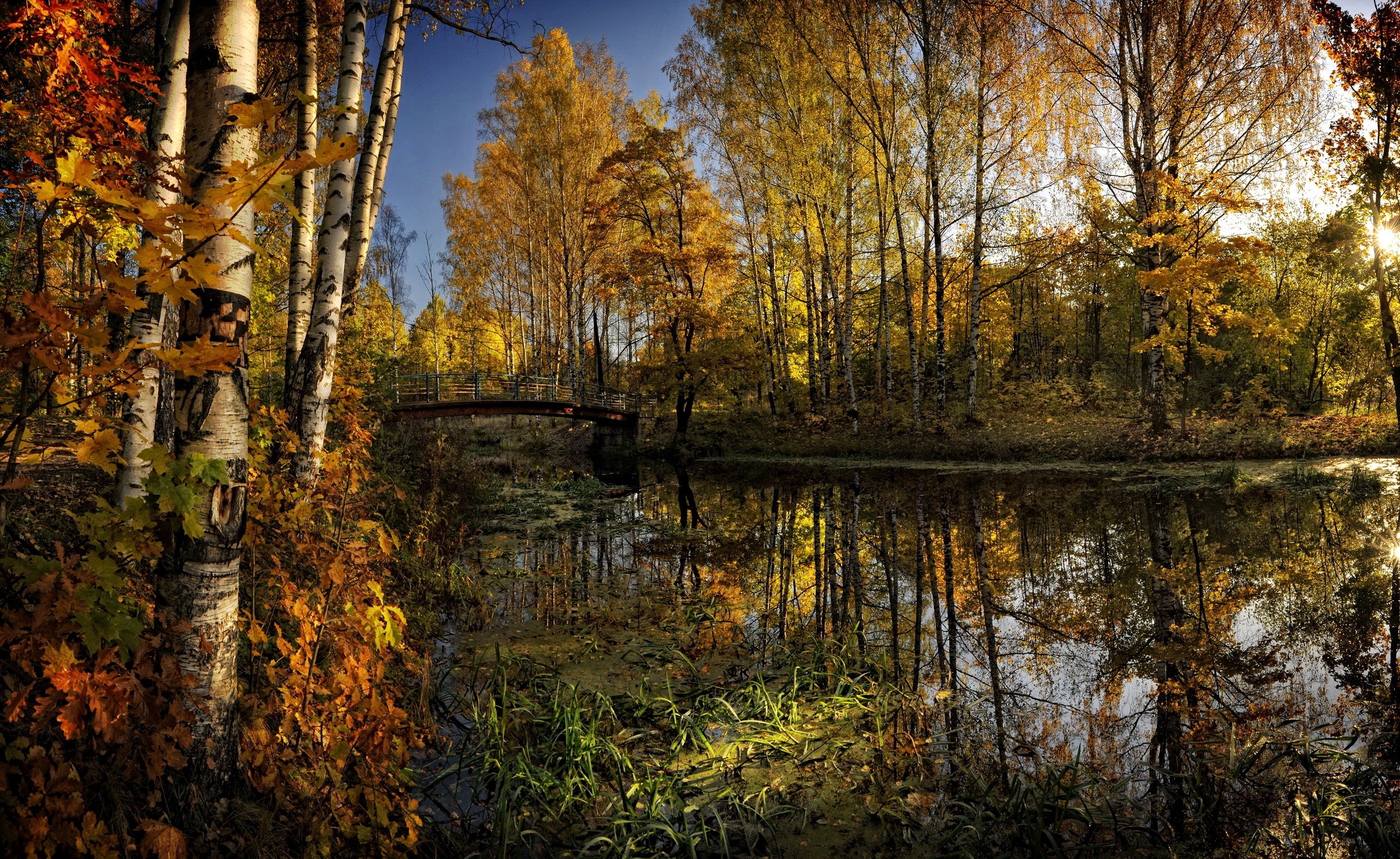 Autumn forest with a lake and a bridge HD Wallpaper