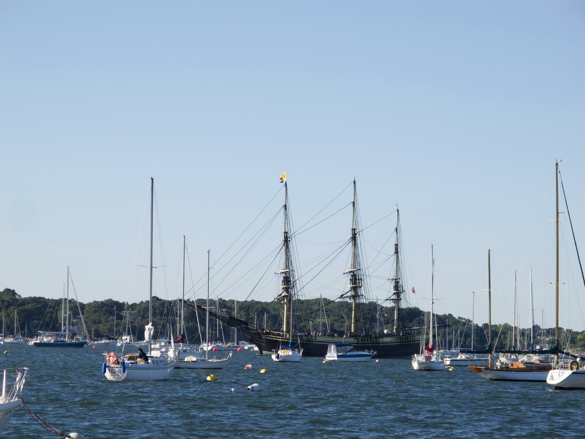 Tall Ship and Sailboats in Harbor HD Wallpaper