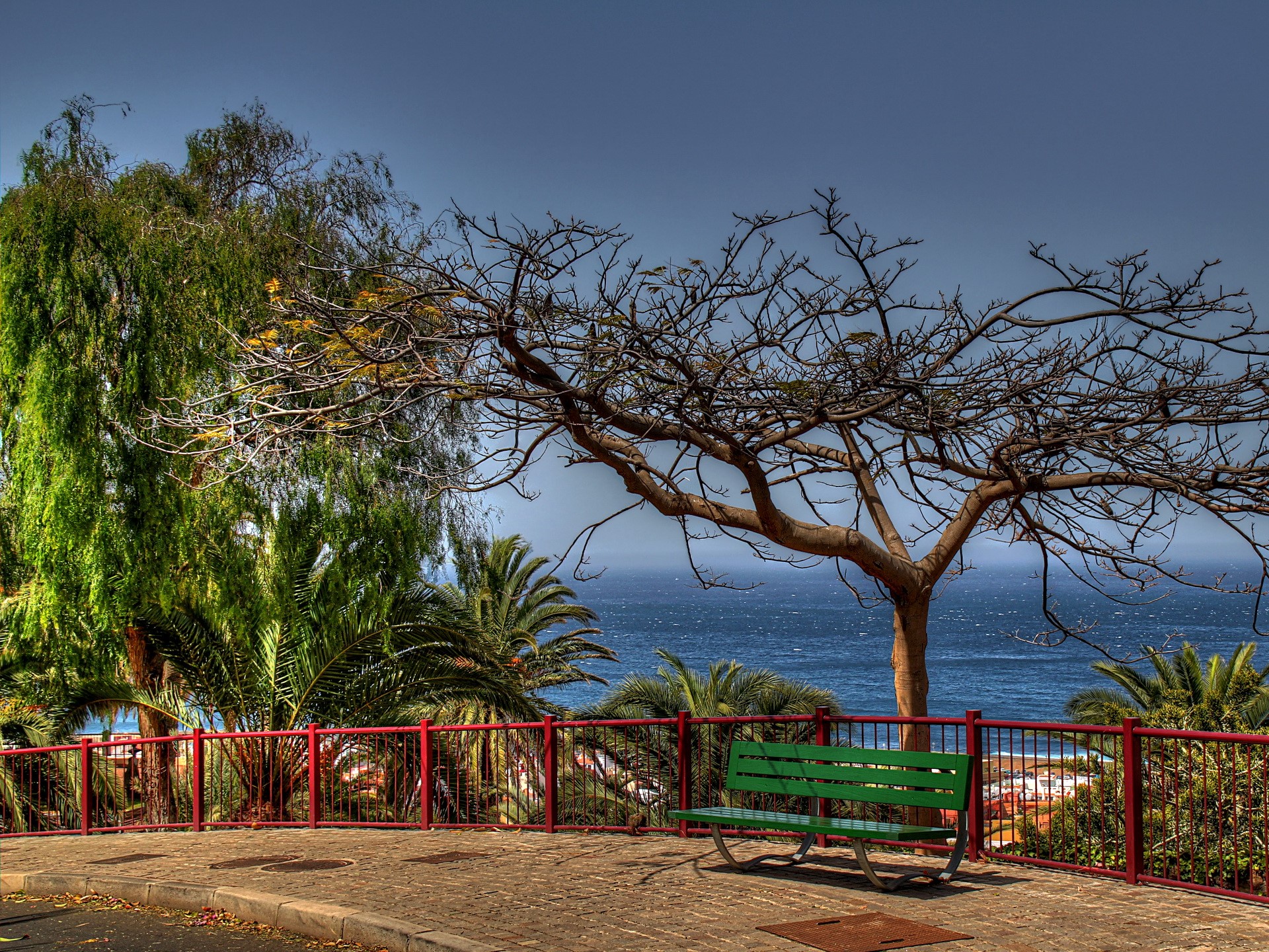 Park bench overlooking the ocean with trees HD Wallpaper