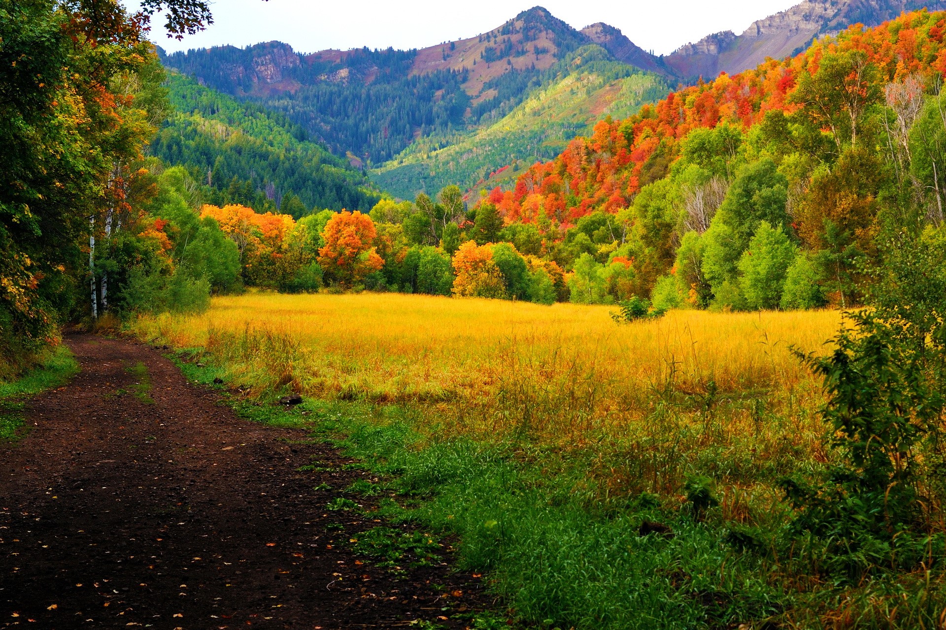 Autumn mountain valley with a dirt path and golden field HD Wallpaper