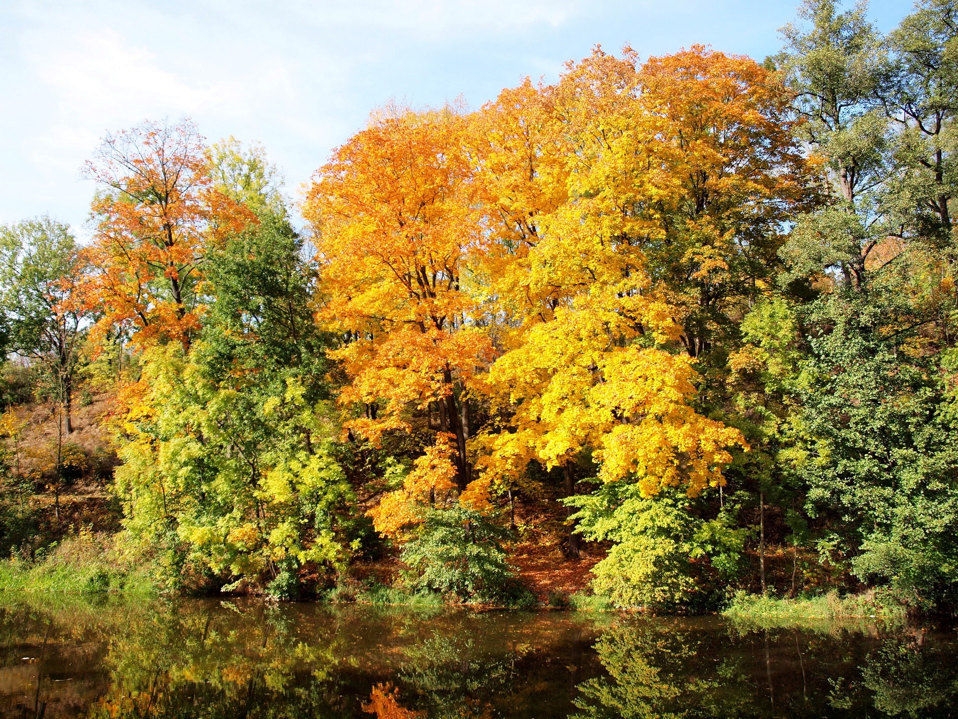 Autumn trees reflected in a river HD Wallpaper