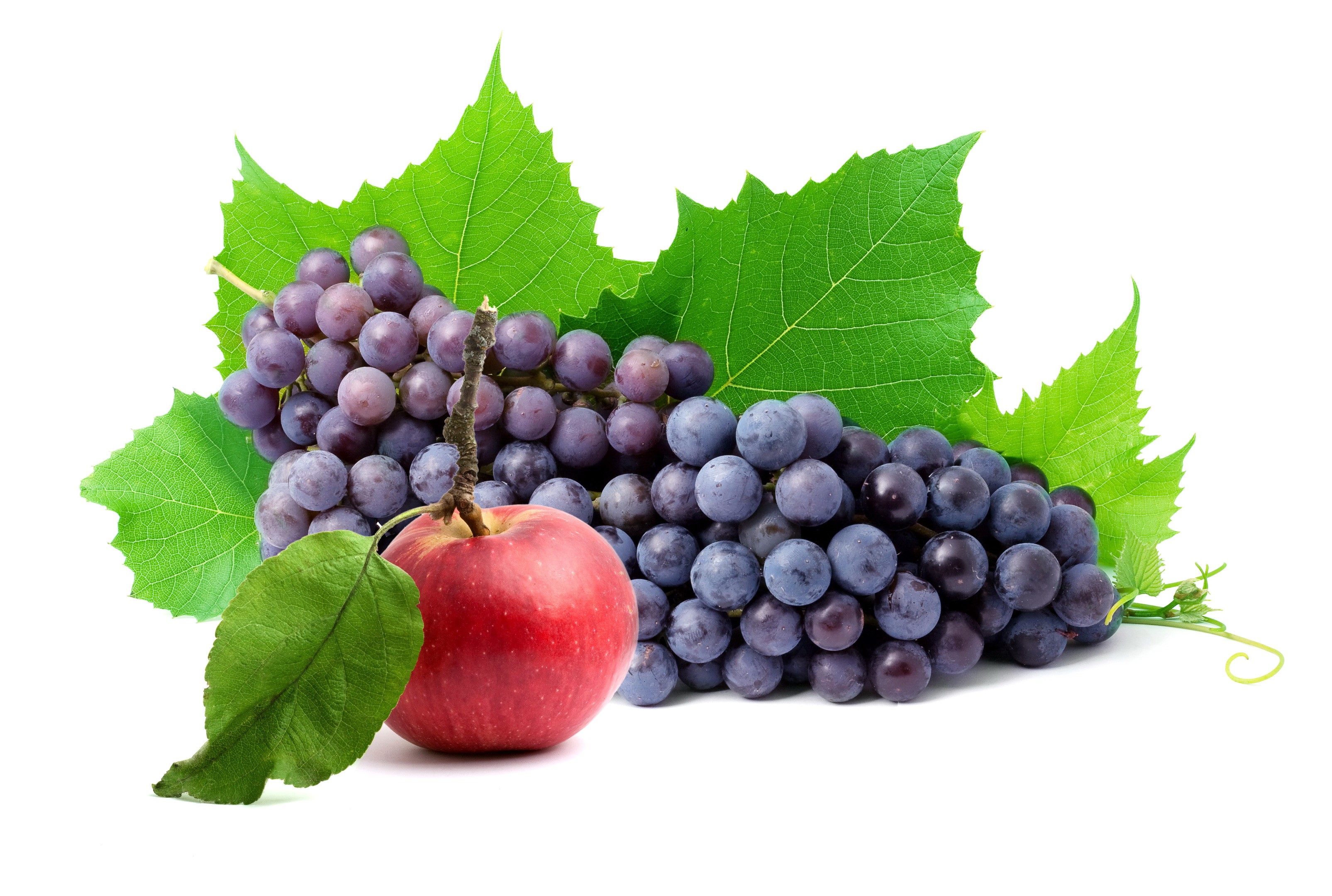 Red apple and purple grapes with green leaves HD Wallpaper