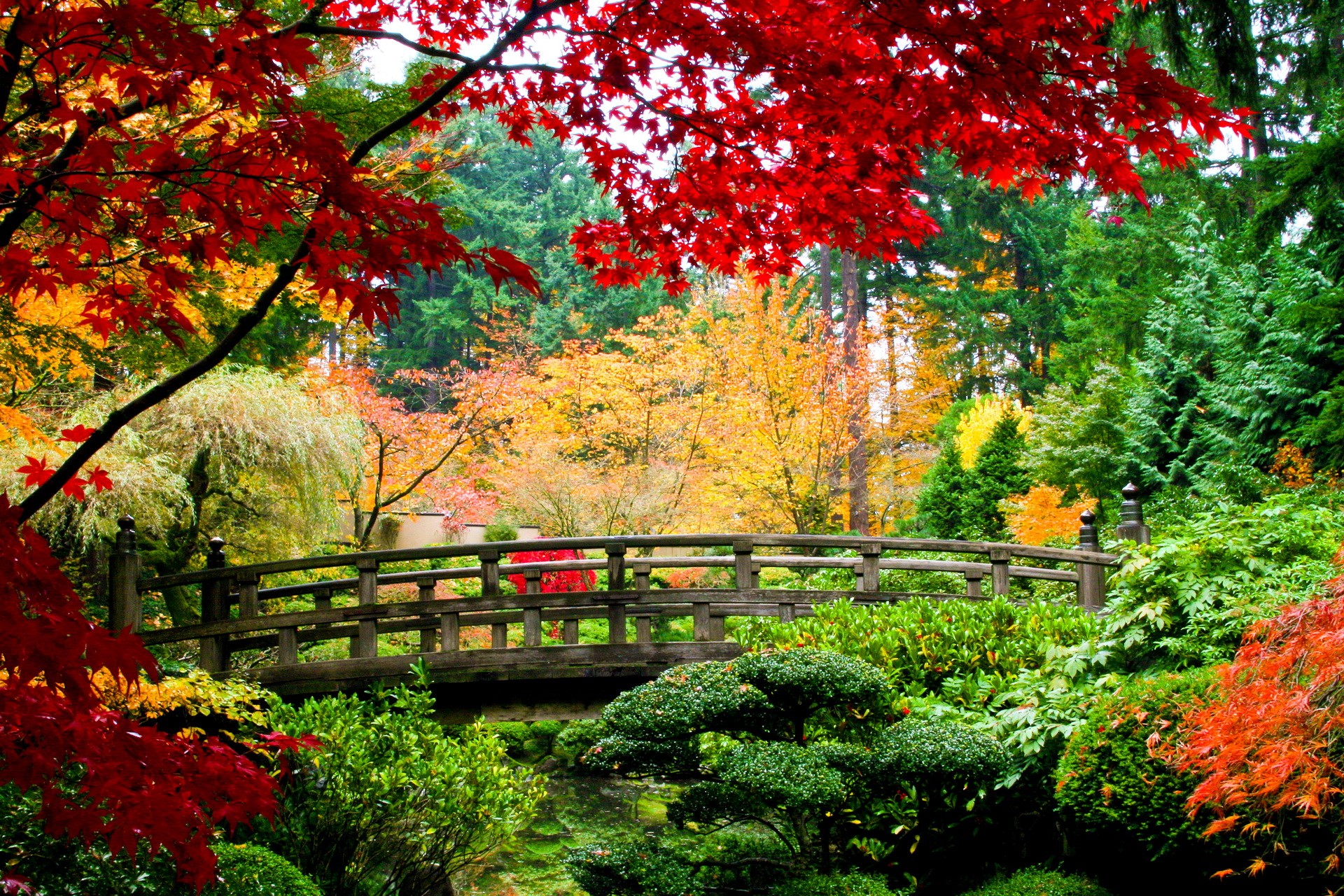 Japanese Garden Bridge in Autumn HD Wallpaper