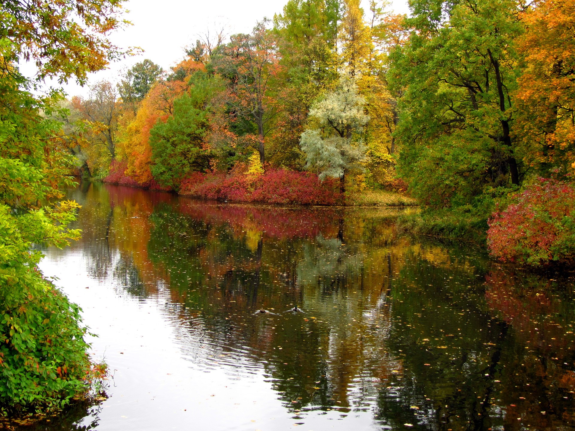 Autumn lake with colorful trees reflecting in water HD Wallpaper