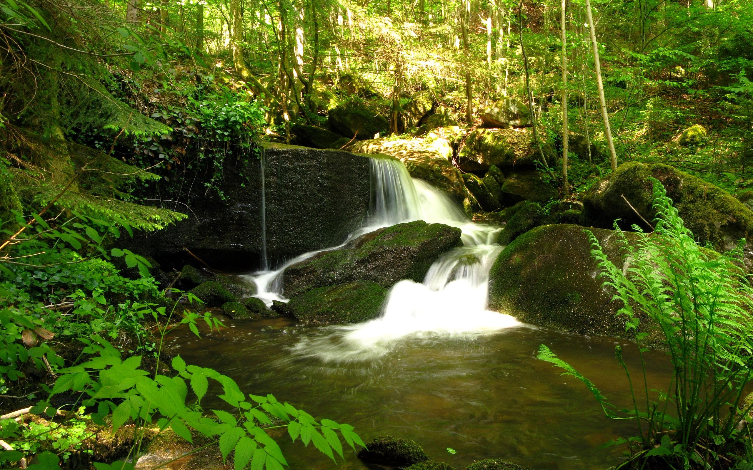 Waterfalls in a lush green forest in Austria HD Wallpaper
