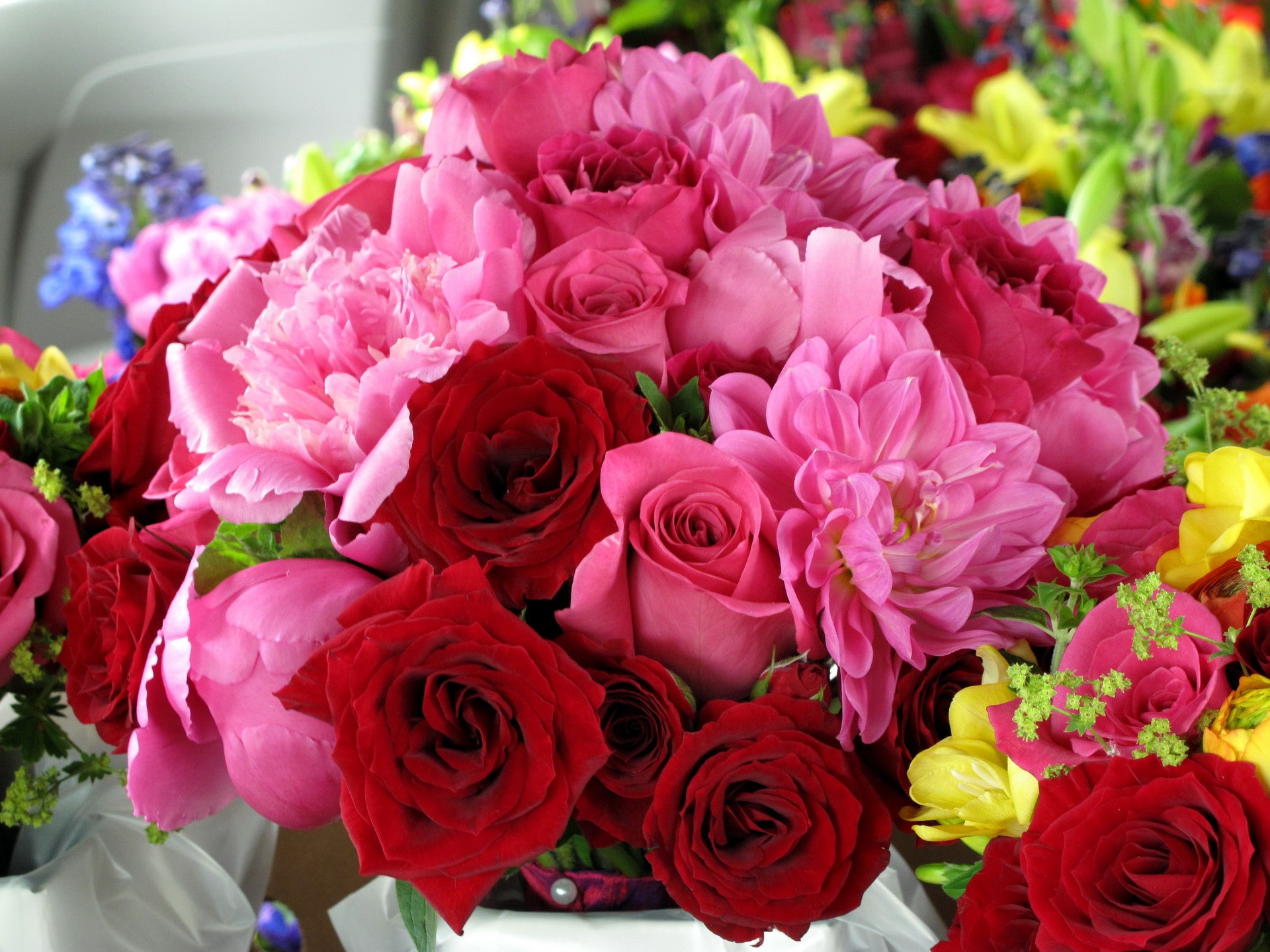 Bouquet of Red and Pink Roses and Peonies HD Wallpaper