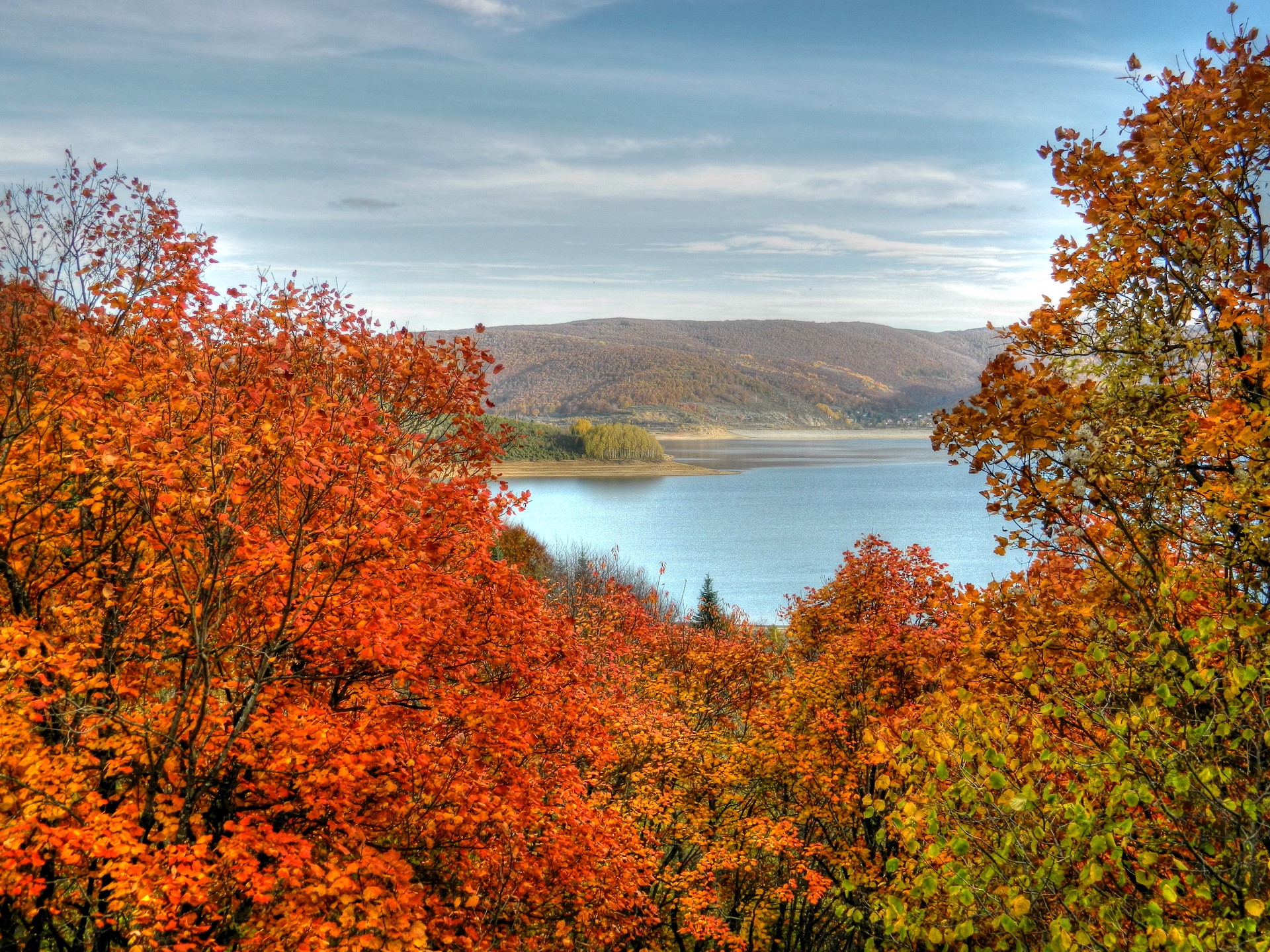 Autumn trees overlooking a lake and hills HD Wallpaper