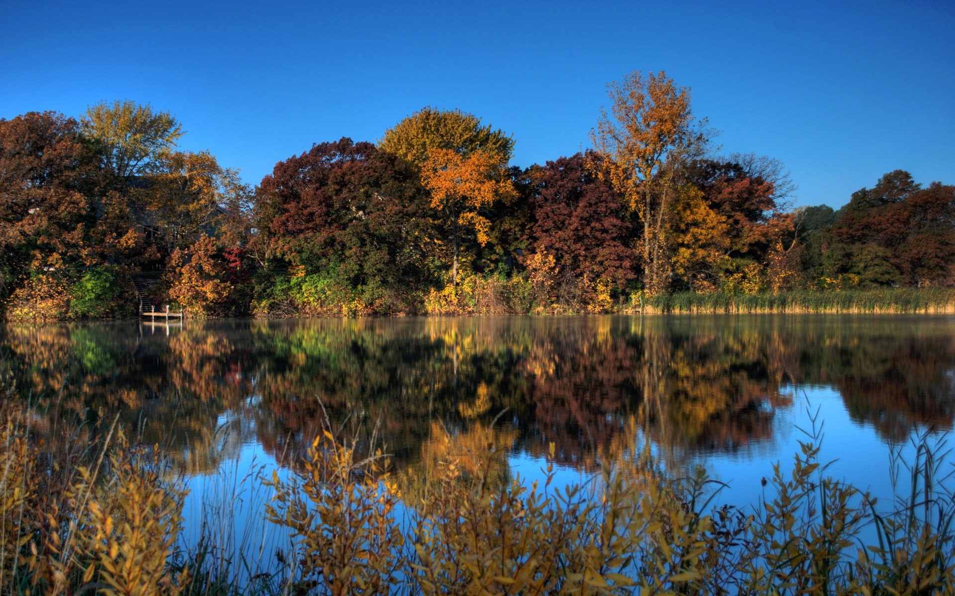 Autumn trees reflecting in a calm lake HD Wallpaper