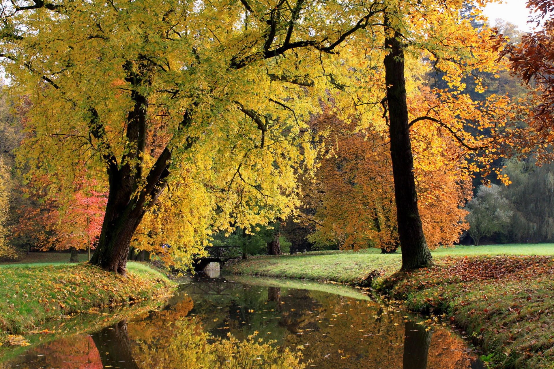 Autumn park with a river and trees in Pruhonice, Czech Republic HD Wallpaper