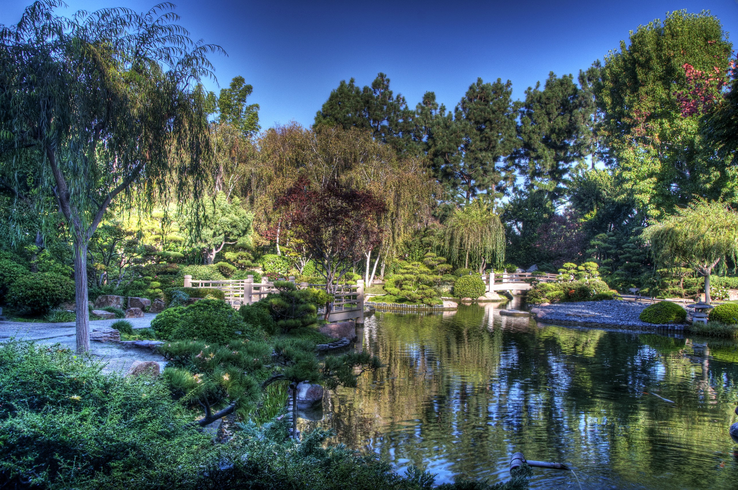 Earl Burns Miller Japanese Garden in California HD Wallpaper