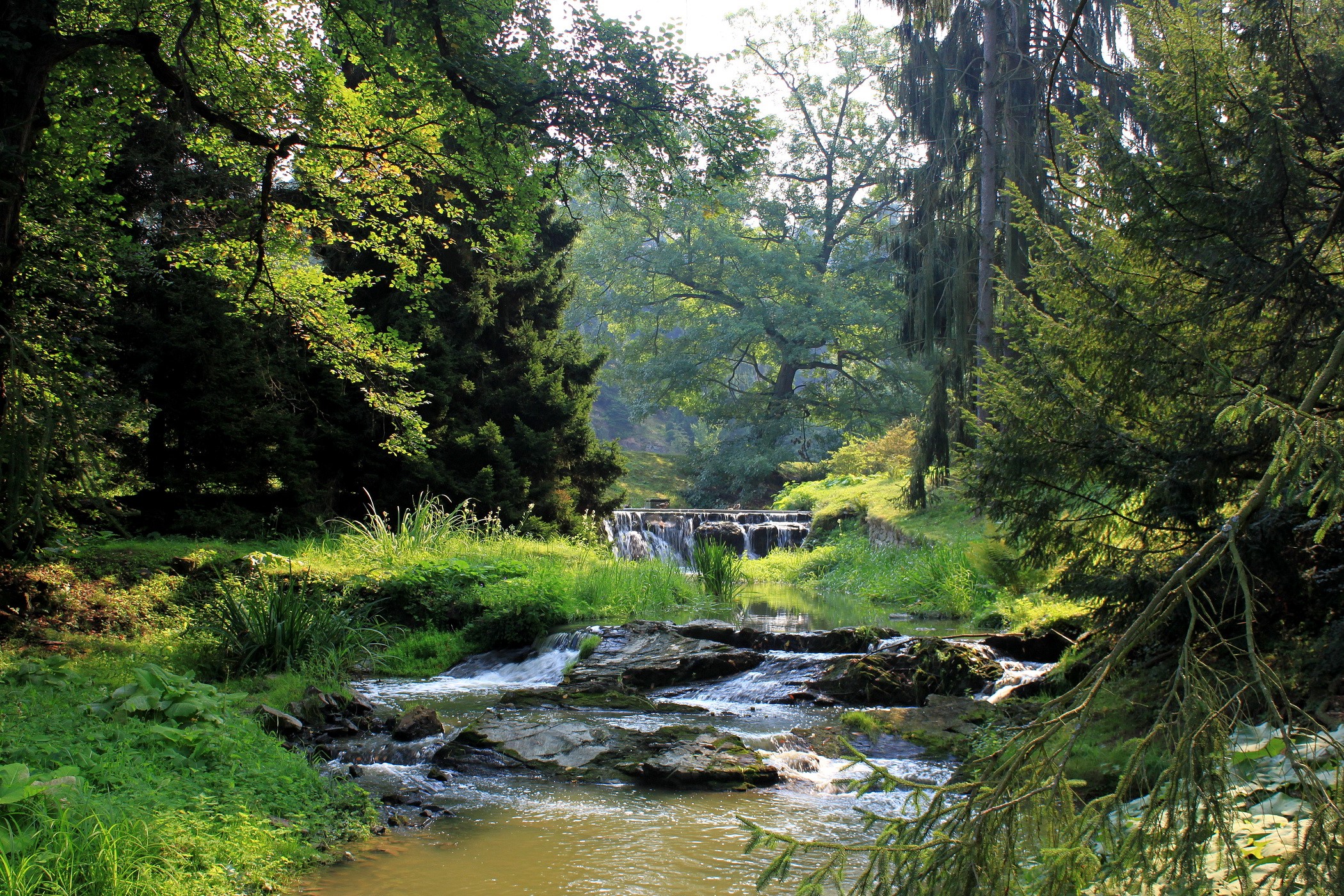 River flowing through a forest in Pruhonice, Czech Republic HD Wallpaper