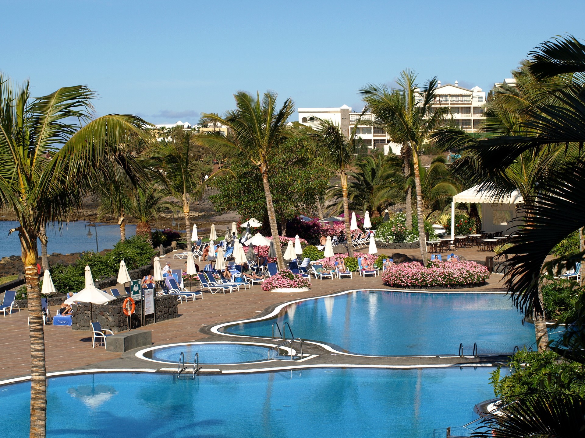 Resort pools and palm trees in the Canary Islands, Spain HD Wallpaper