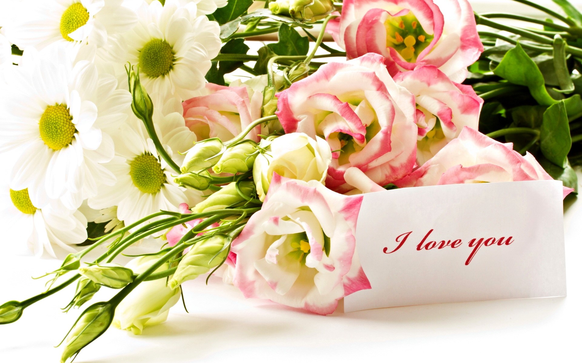 Bouquet of white daisies and pink roses with a card HD Wallpaper