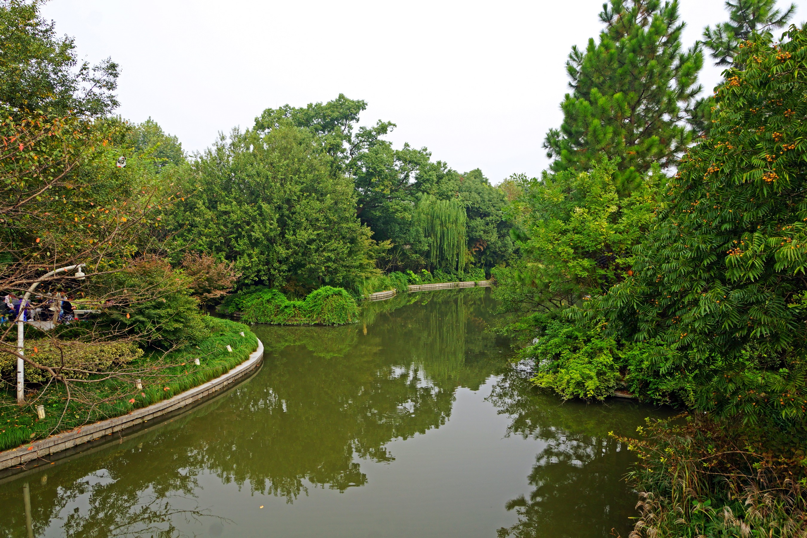 Park with a lake and trees in China HD Wallpaper