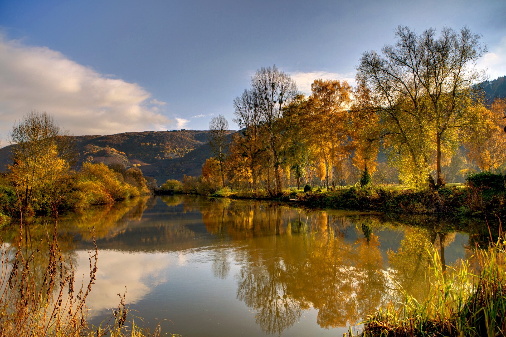 Autumn trees reflecting in a lake in Germany HD Wallpaper