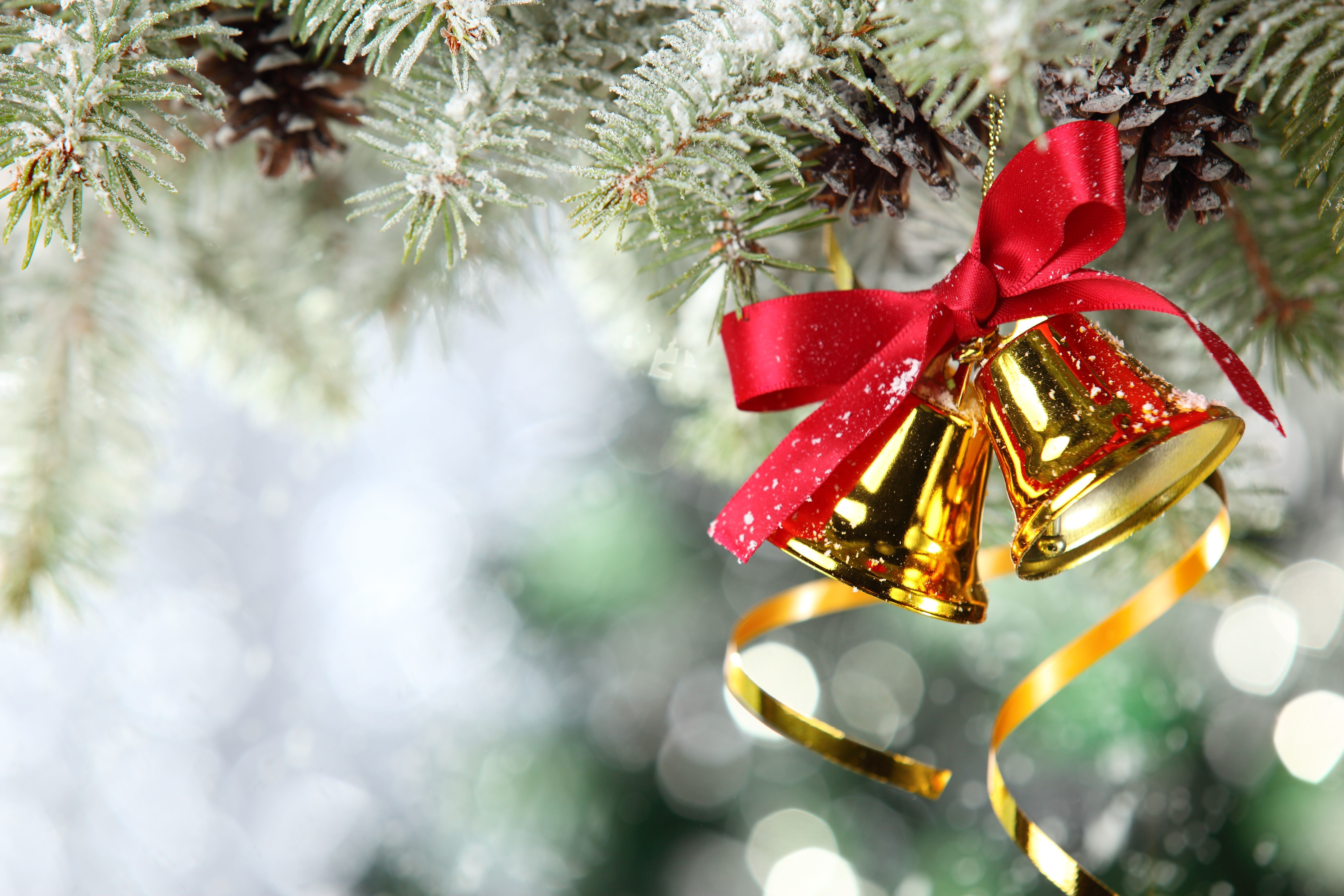 Christmas Bells on Pine Branches with Snow HD Wallpaper