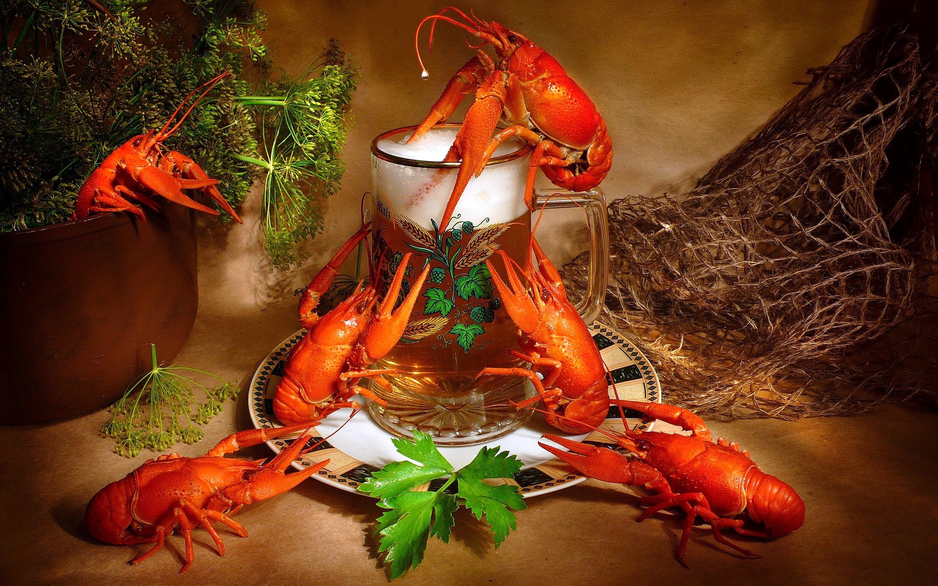Crayfish and Beer Still Life HD Wallpaper