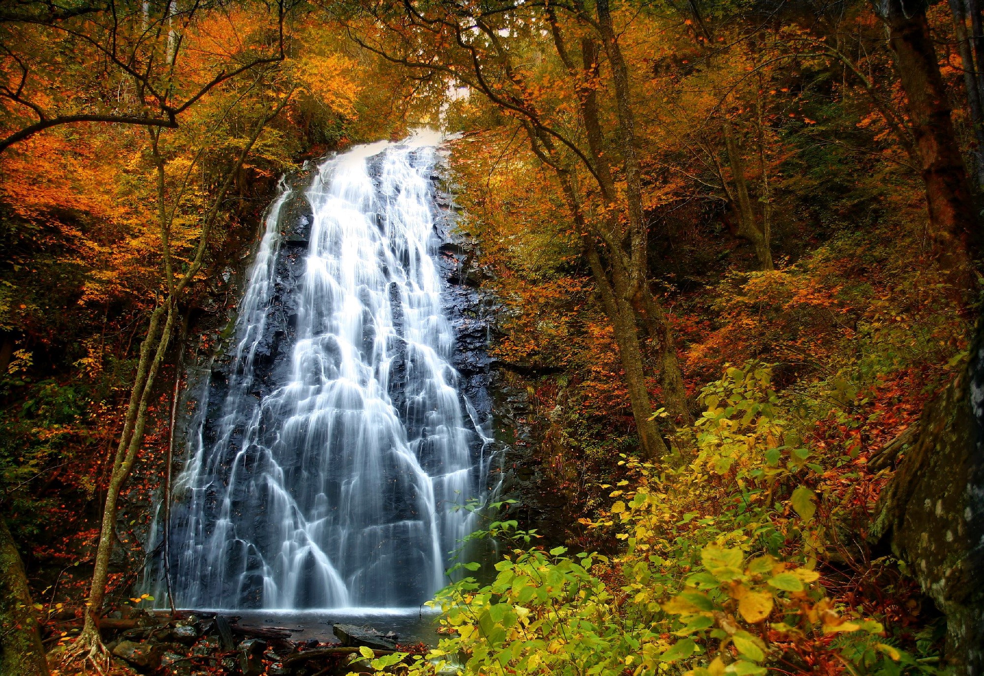Waterfall in autumn forest HD Wallpaper