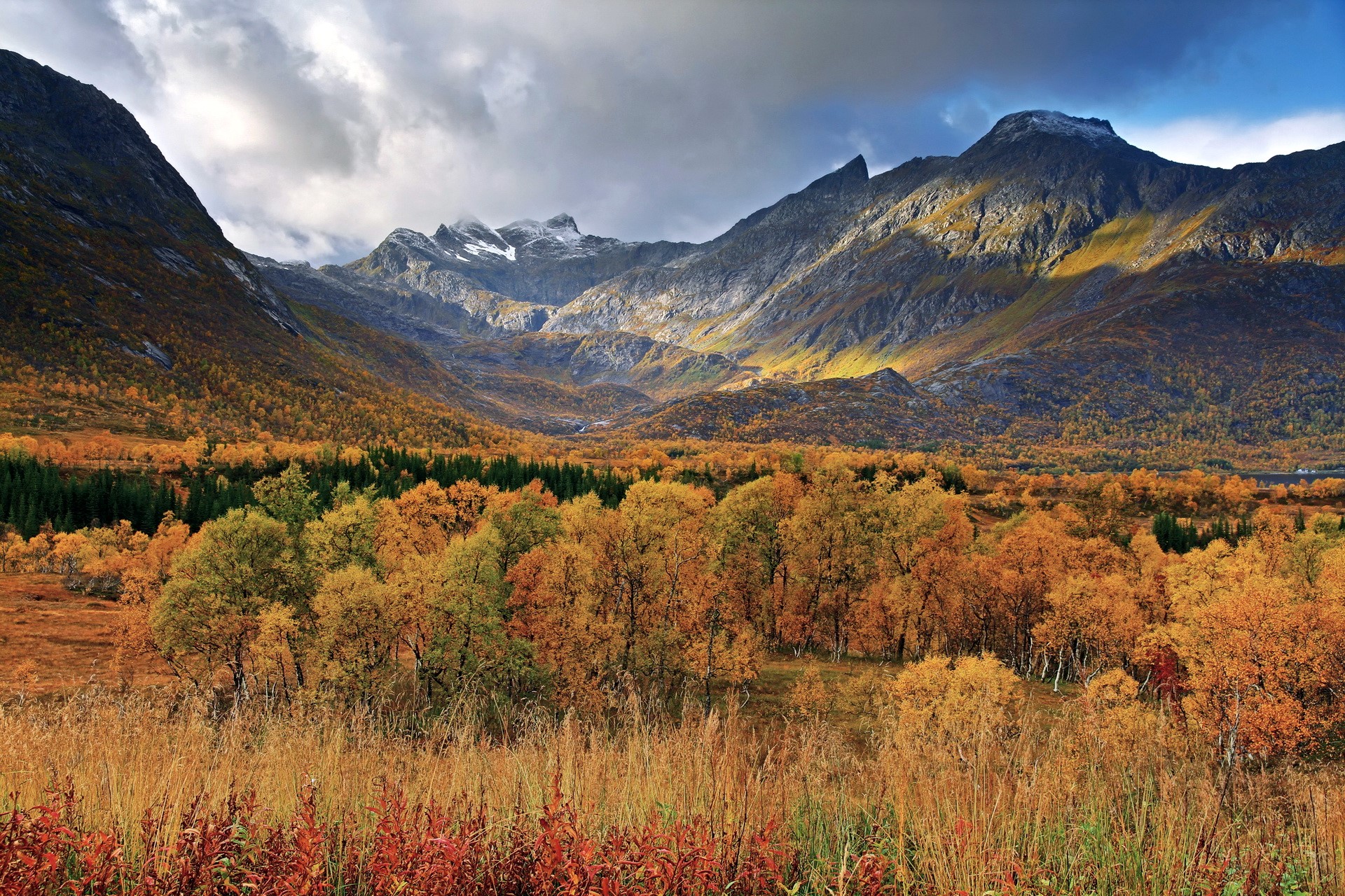 Autumn valley with mountains and colorful trees HD Wallpaper